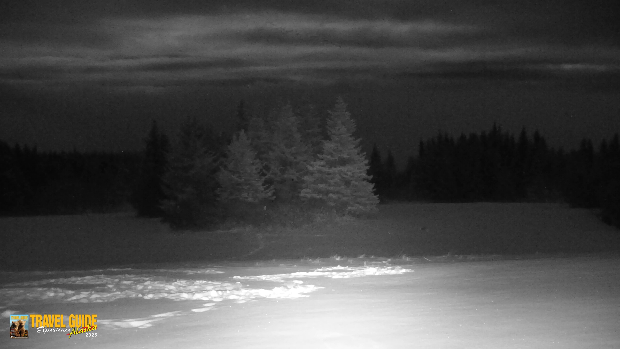 Snapshot of Inspiration Ridge - Homer Alaska Live Webcam taken Jan 6, 2026, 12:21am AKST