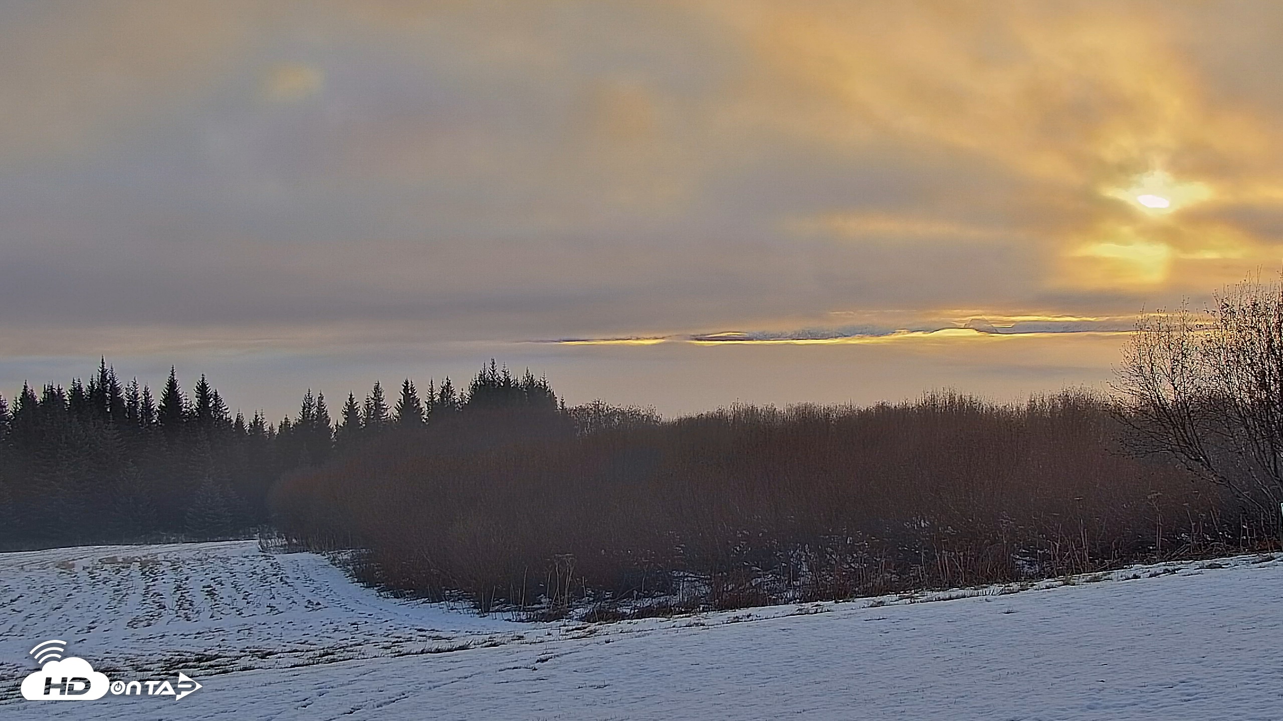 Snapshot of Inspiration Ridge - Homer Alaska Live Webcam taken Nov 28, 2025, 10:51am AKST