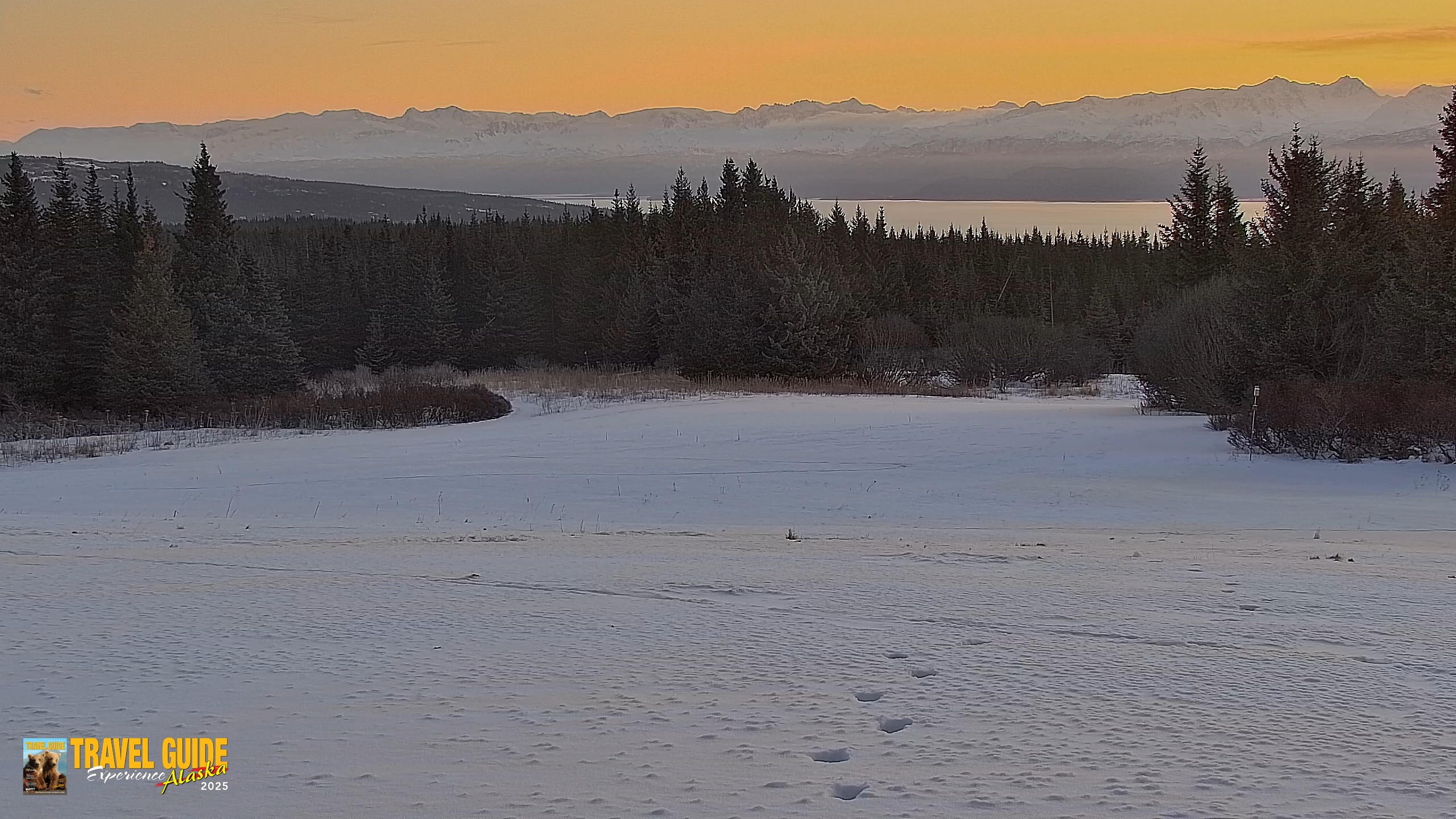Snapshot of Inspiration Ridge - Homer Alaska Live Webcam taken Jan 19, 2026, 9:57am AKST