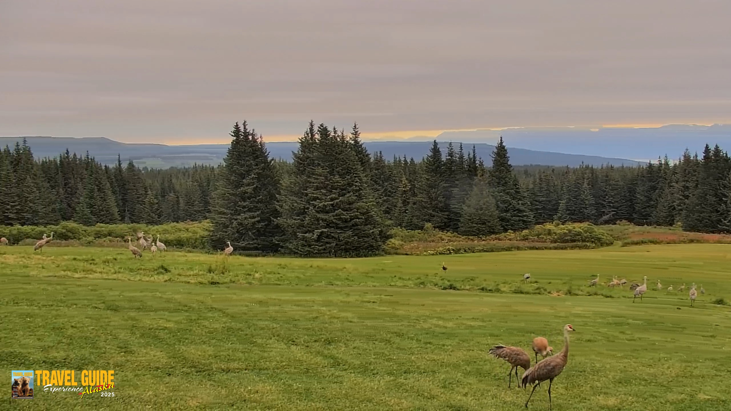 Snapshot of Inspiration Ridge - Homer Alaska Live Webcam taken Sep 4, 2026, 10:26am AKDT
