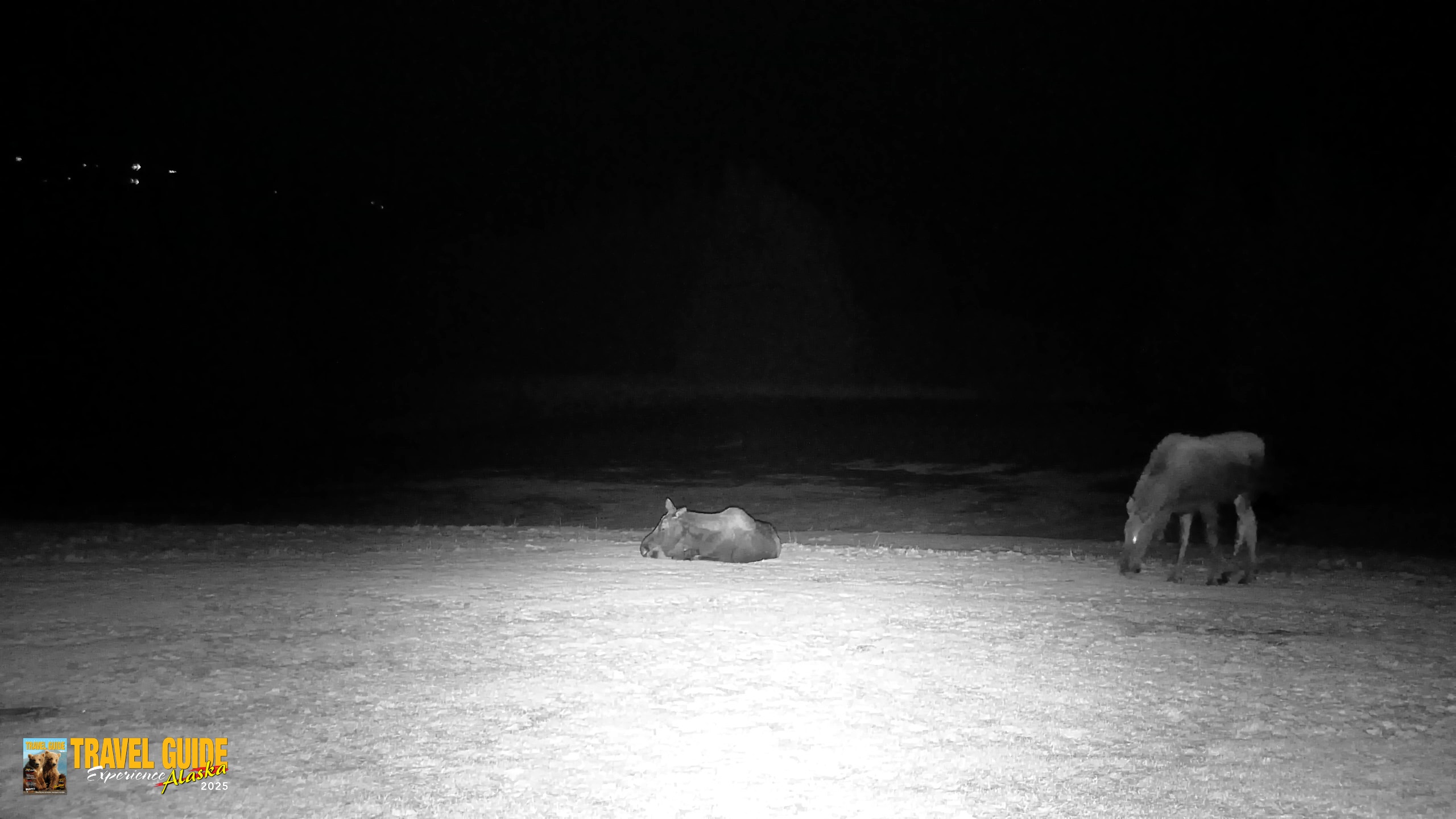 Snapshot of Inspiration Ridge - Homer Alaska Live Webcam taken Apr 15, 2026, 12:31am AKDT