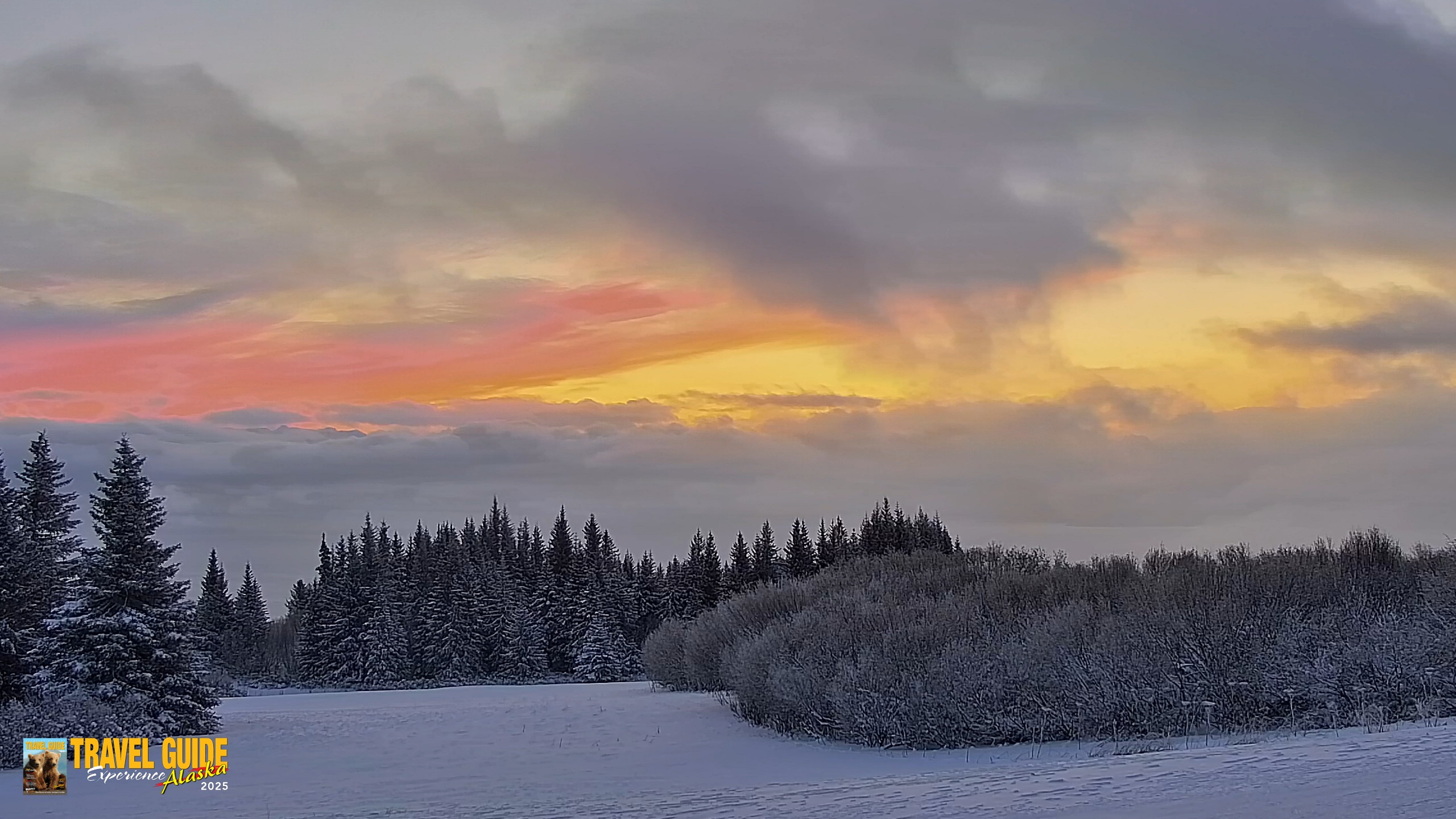 Snapshot of Inspiration Ridge - Homer Alaska Live Webcam taken Jan 14, 2026, 9:34am AKST