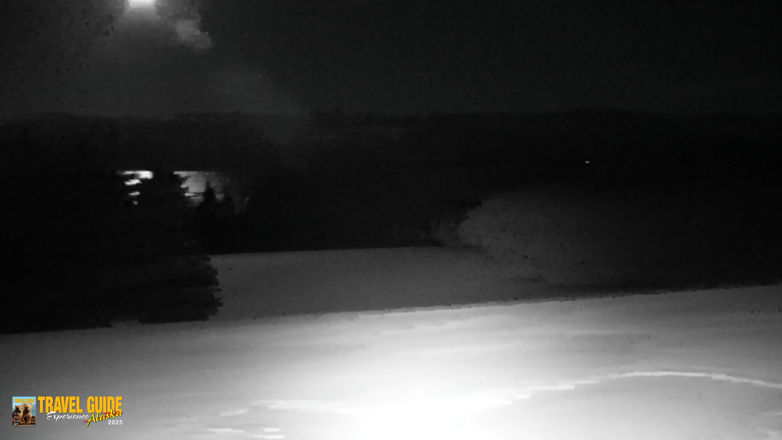 Snapshot of Inspiration Ridge - Homer Alaska Live Webcam taken Jan 8, 2026, 12:34am AKST