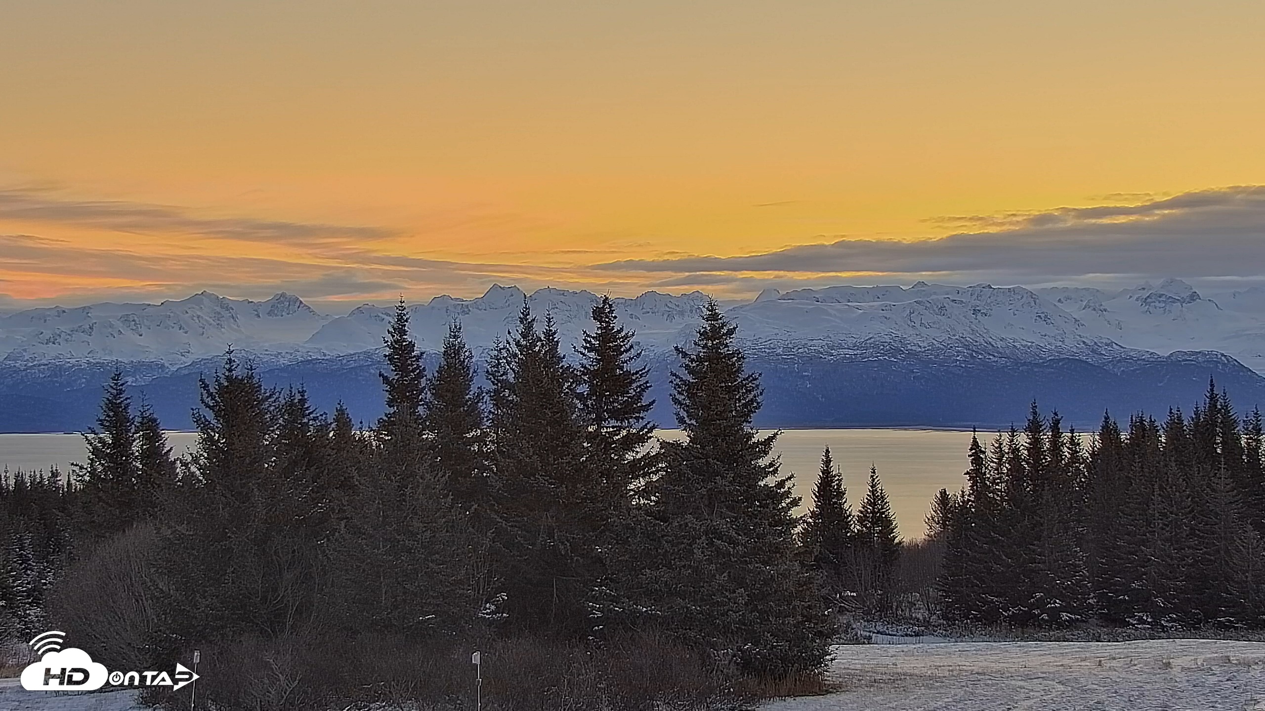 Snapshot of Inspiration Ridge - Homer Alaska Live Webcam taken Nov 12, 2025, 8:46am AKST