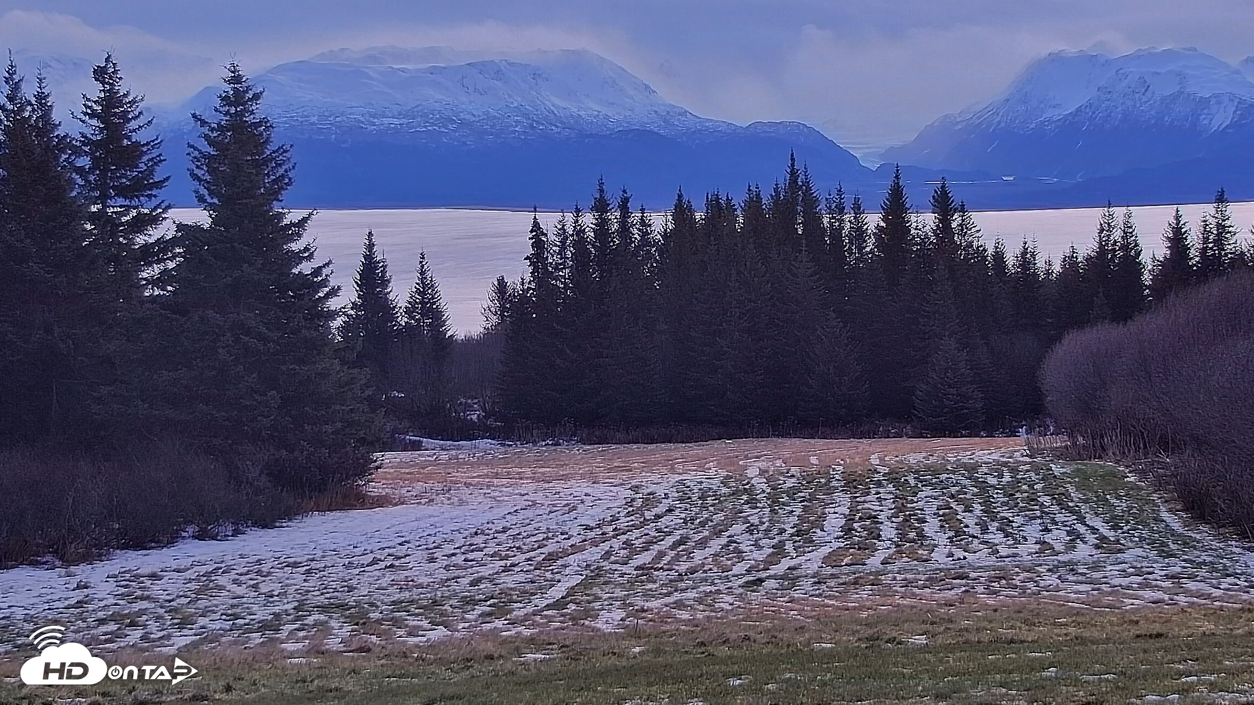 Snapshot of Inspiration Ridge - Homer Alaska Live Webcam taken Dec 2, 2025, 9:08am AKST