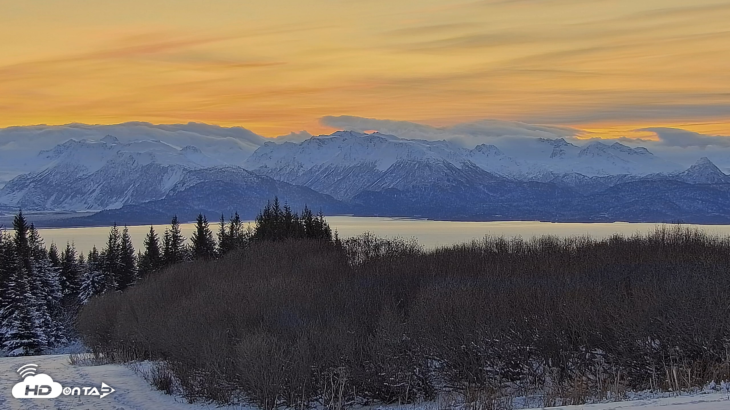 Snapshot of Inspiration Ridge - Homer Alaska Live Webcam taken Nov 25, 2025, 9:17am AKST