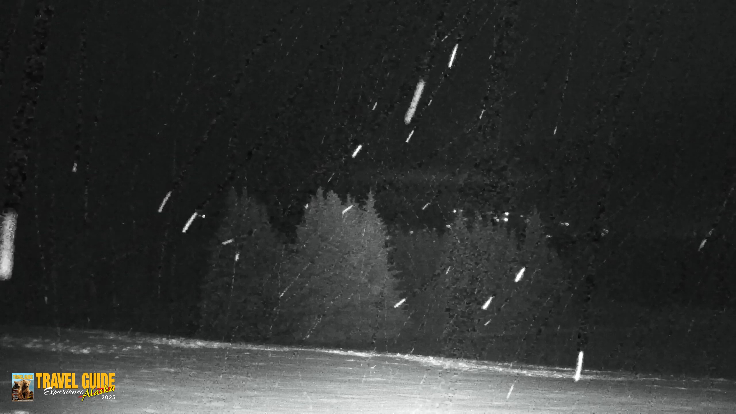 Snapshot of Inspiration Ridge - Homer Alaska Live Webcam taken Jan 12, 2026, 10:34pm AKST