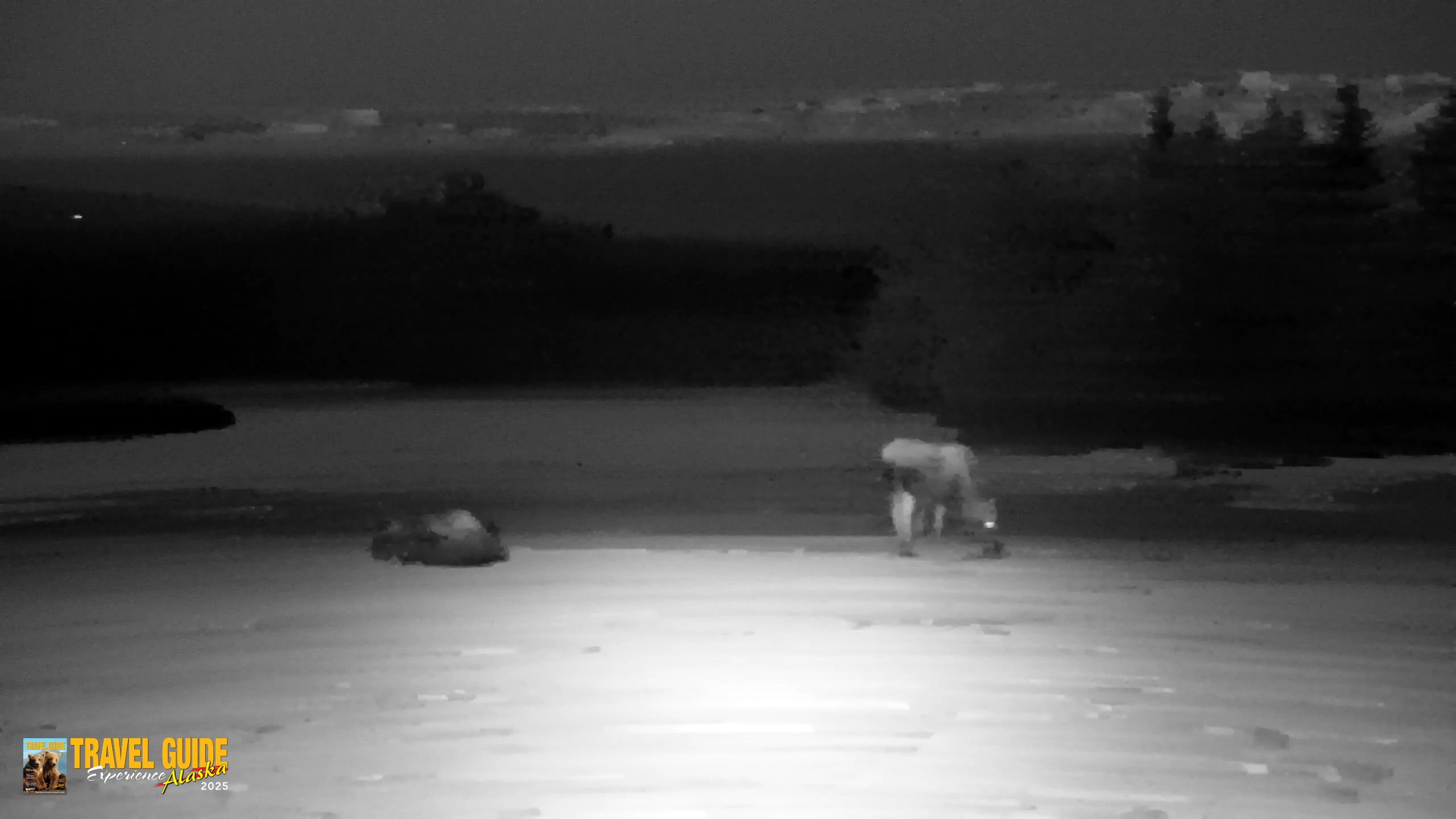 Snapshot of Inspiration Ridge - Homer Alaska Live Webcam taken Apr 14, 2026, 10:32pm AKDT