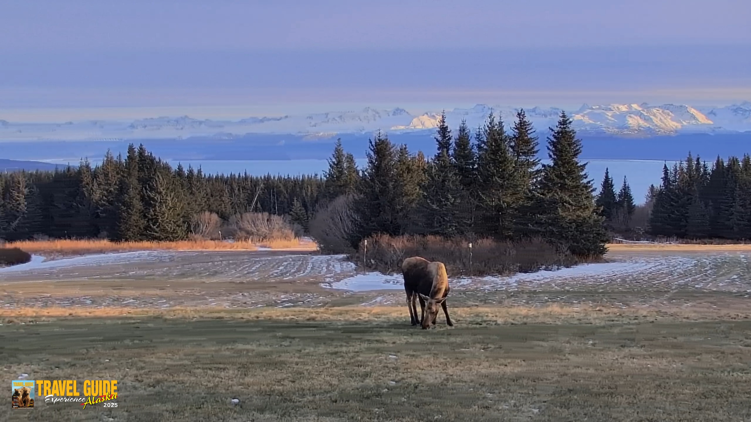 Snapshot of Inspiration Ridge - Homer Alaska Live Webcam taken Dec 22, 2025, 2:16pm AKST