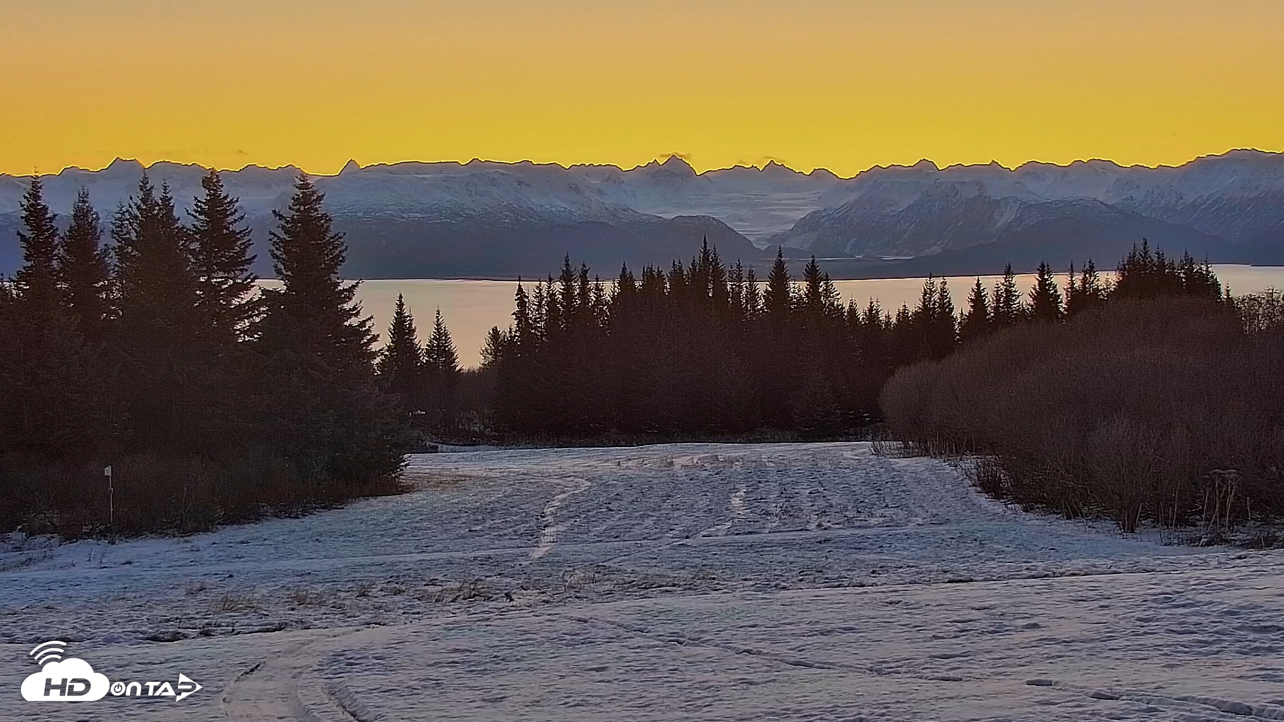 Snapshot of Inspiration Ridge - Homer Alaska Live Webcam taken Nov 15, 2025, 8:30am AKST