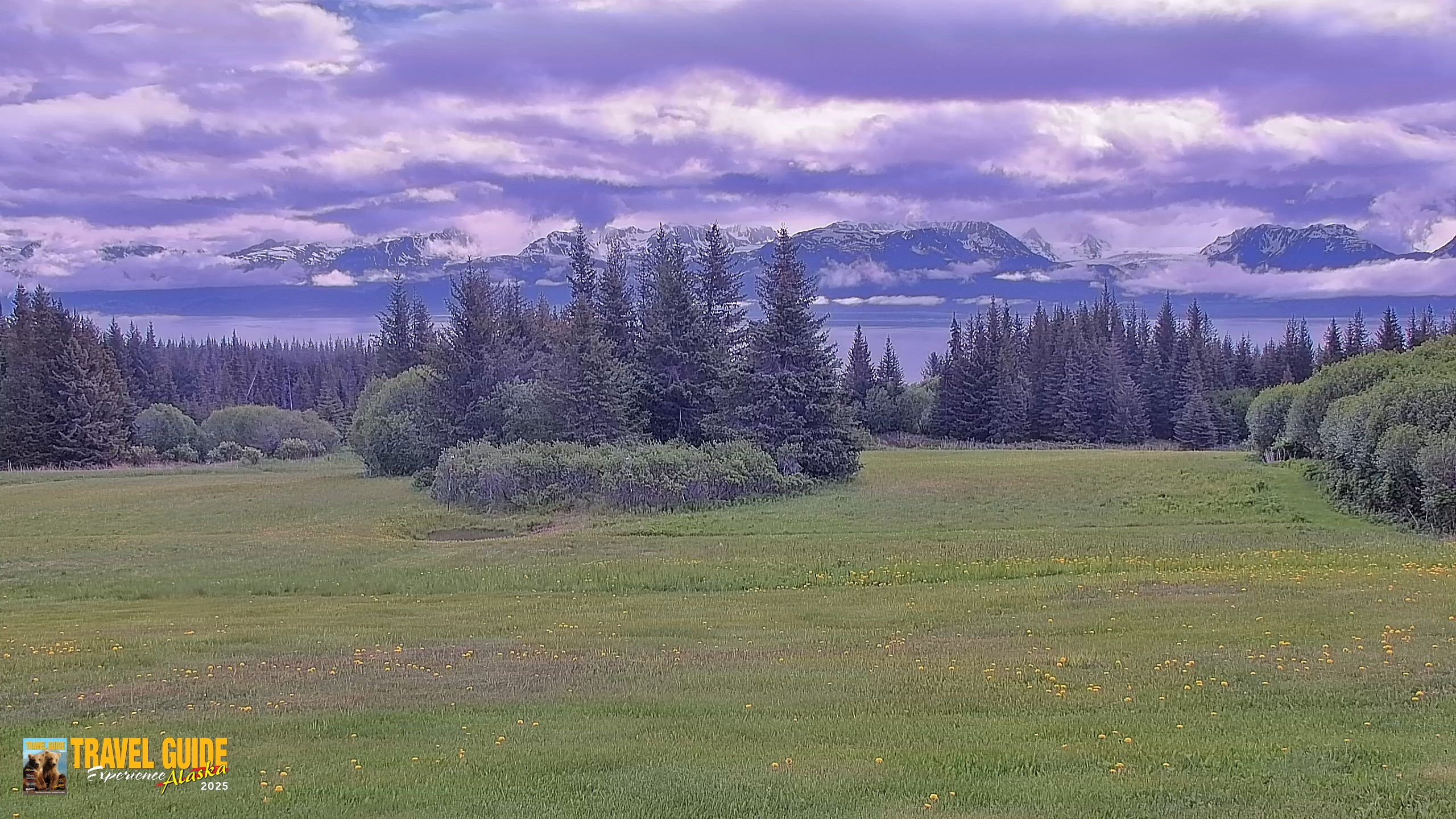 Snapshot of Inspiration Ridge - Homer Alaska Live Webcam taken Jun 22, 2026, 11:03am AKDT