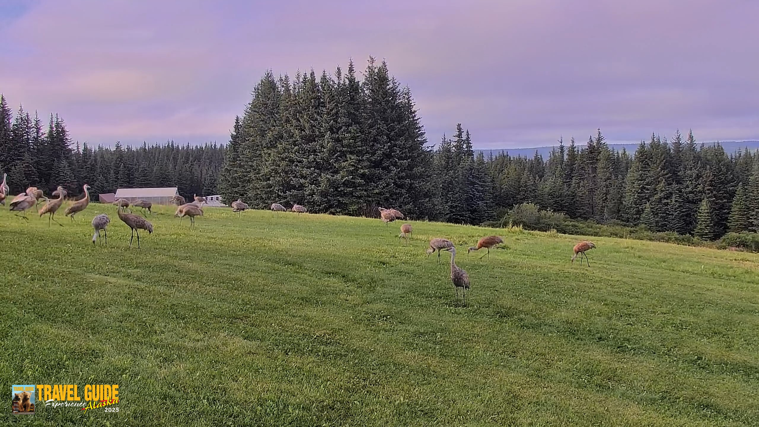 Snapshot of Inspiration Ridge - Homer Alaska Live Webcam taken Aug 25, 2026, 7:25pm AKDT
