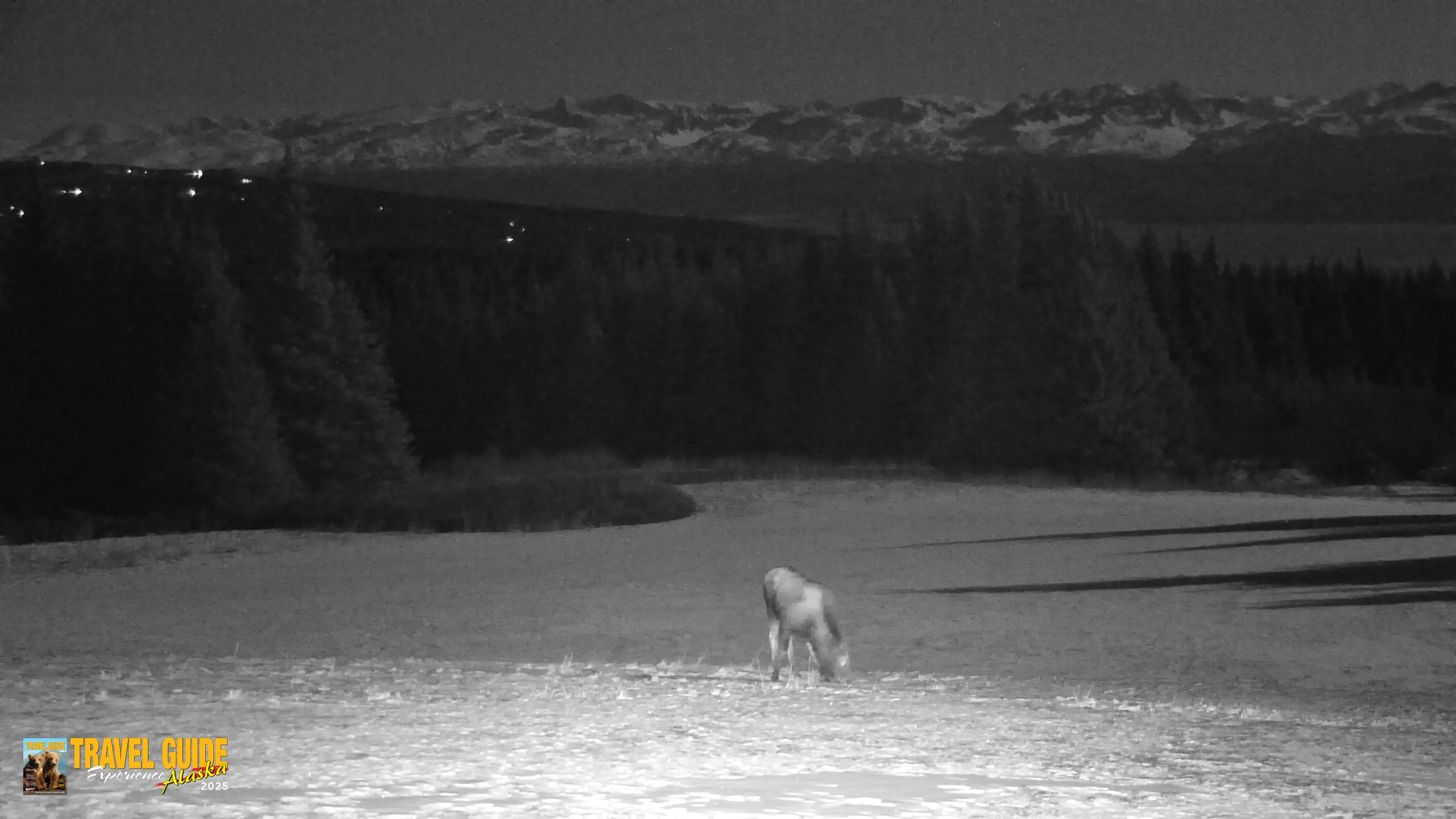 Snapshot of Inspiration Ridge - Homer Alaska Live Webcam taken Mar 31, 2026, 10:59pm AKDT