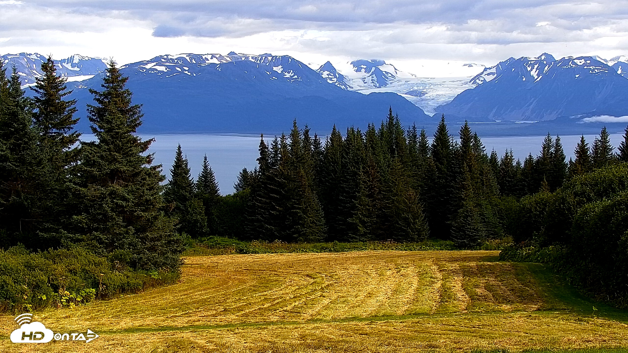 Snapshot of Inspiration Ridge - Homer Alaska Live Webcam taken Aug 20, 2025, 4:28pm AKDT