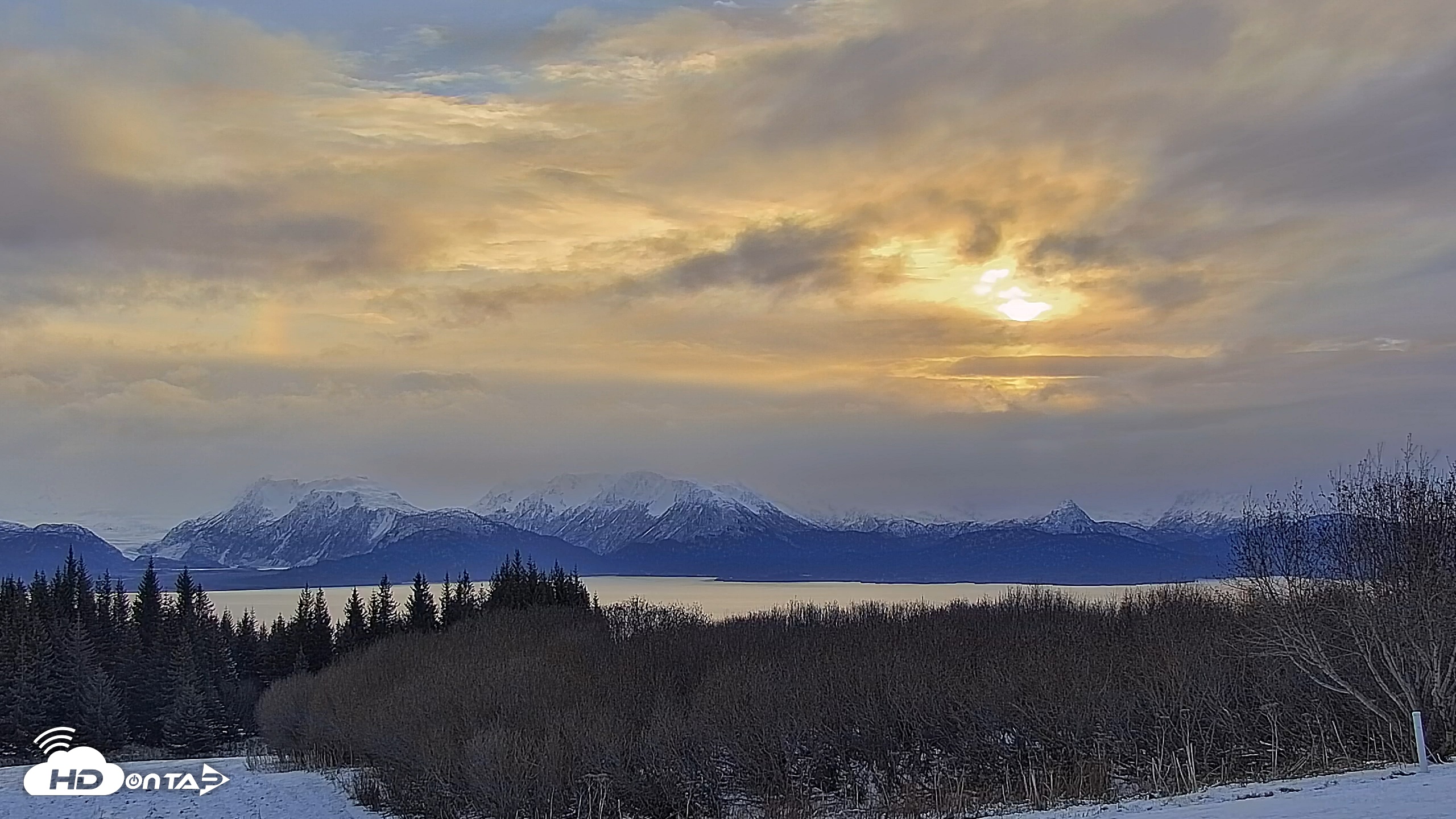 Snapshot of Inspiration Ridge - Homer Alaska Live Webcam taken Nov 14, 2025, 10:21am AKST
