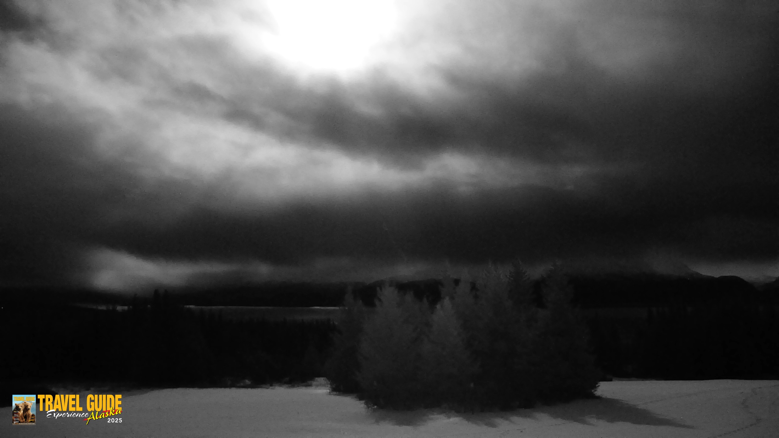 Snapshot of Inspiration Ridge - Homer Alaska Live Webcam taken Feb 1, 2026, 8:18pm AKST