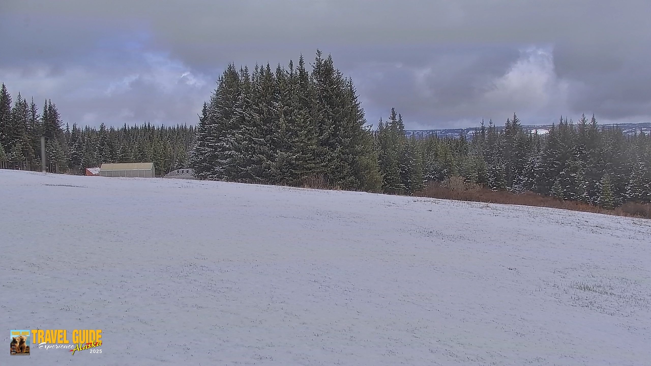 Snapshot of Inspiration Ridge - Homer Alaska Live Webcam taken May 23, 2026, 10:56am AKDT