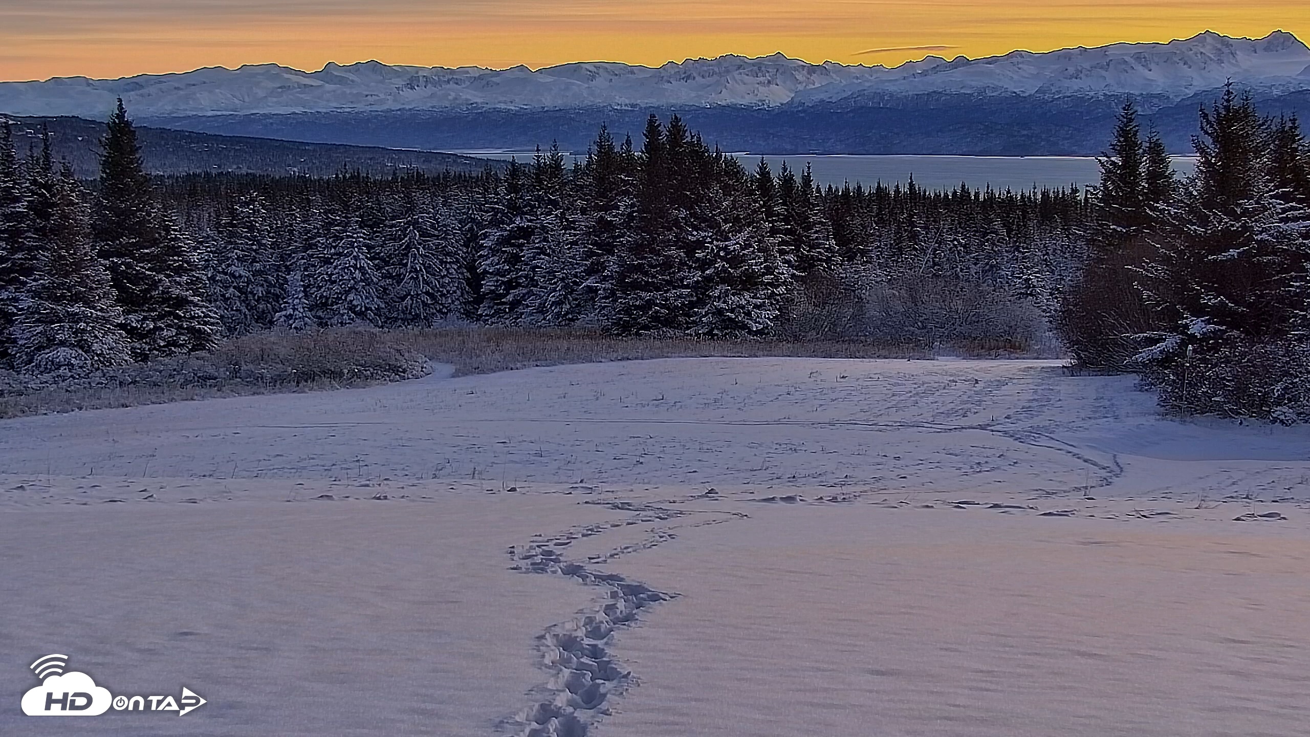 Snapshot of Inspiration Ridge - Homer Alaska Live Webcam taken Nov 24, 2025, 8:49am AKST