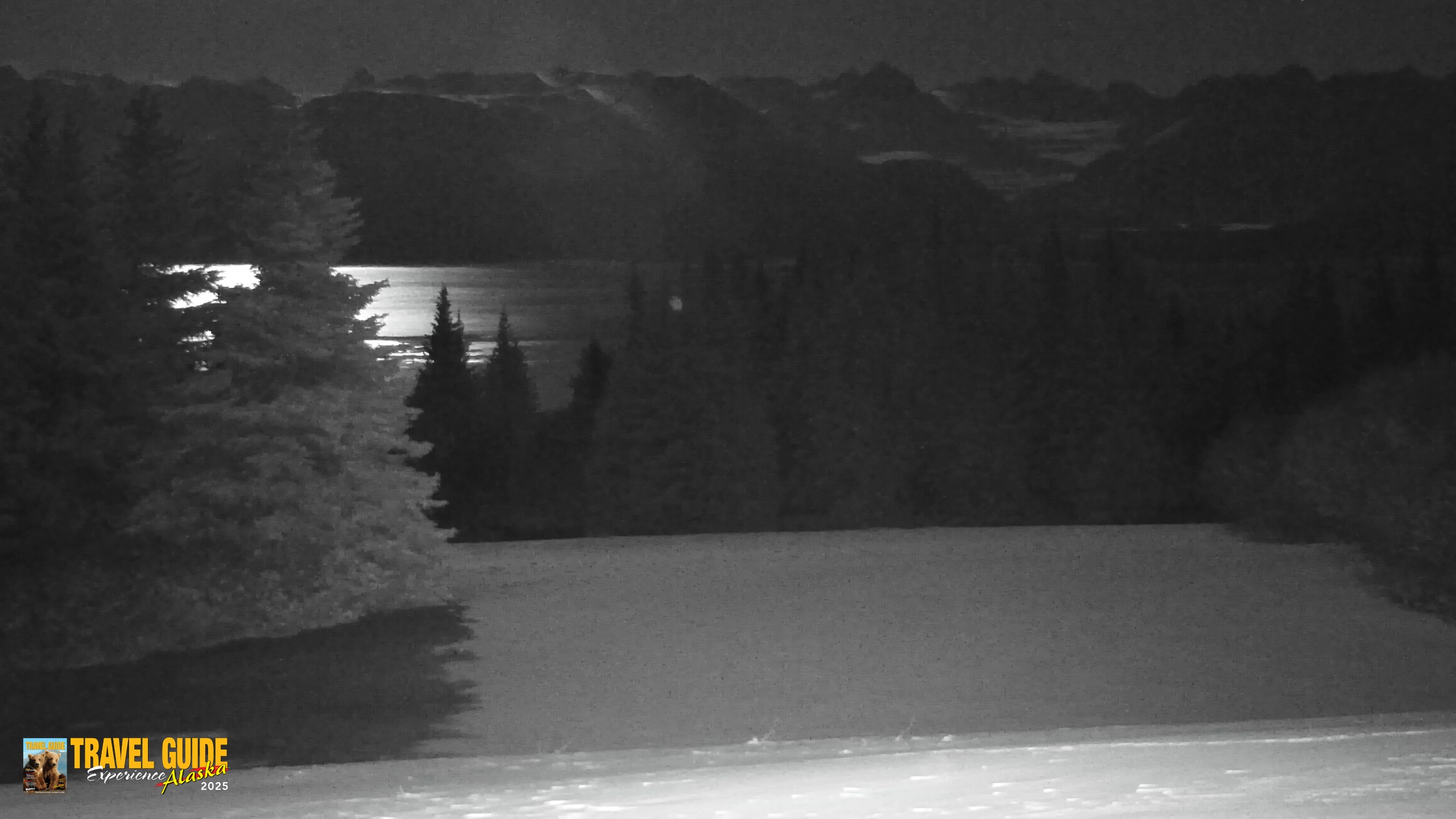 Snapshot of Inspiration Ridge - Homer Alaska Live Webcam taken Jan 8, 2026, 12:35am AKST