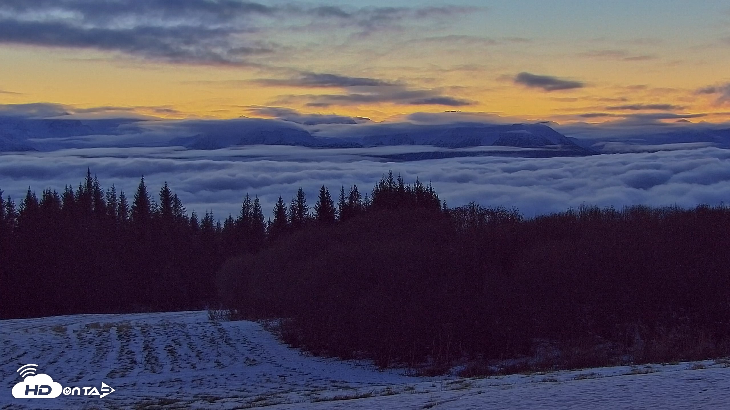Snapshot of Inspiration Ridge - Homer Alaska Live Webcam taken Nov 28, 2025, 8:33am AKST