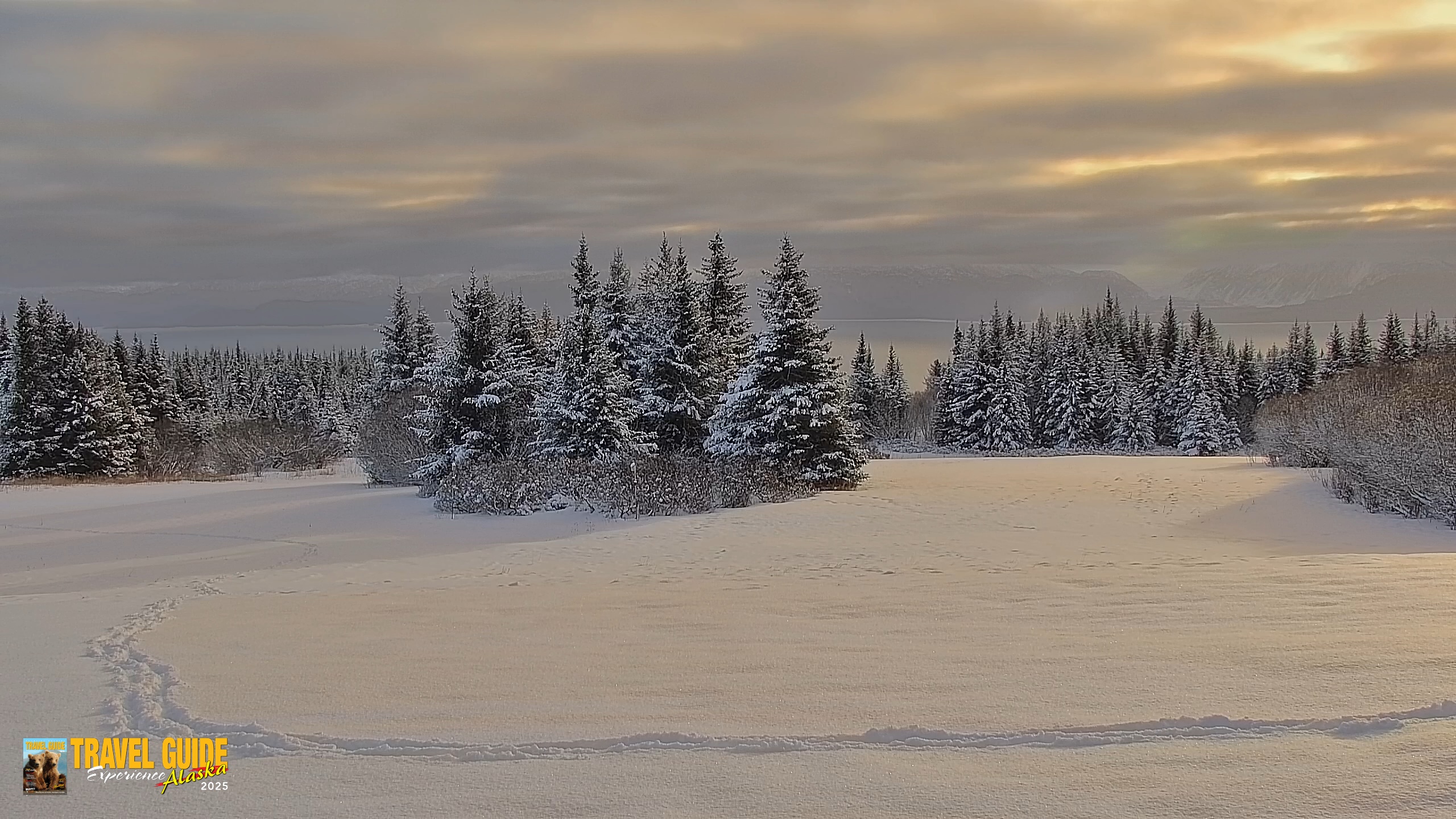 Snapshot of Inspiration Ridge - Homer Alaska Live Webcam taken Feb 13, 2026, 10:21am AKST