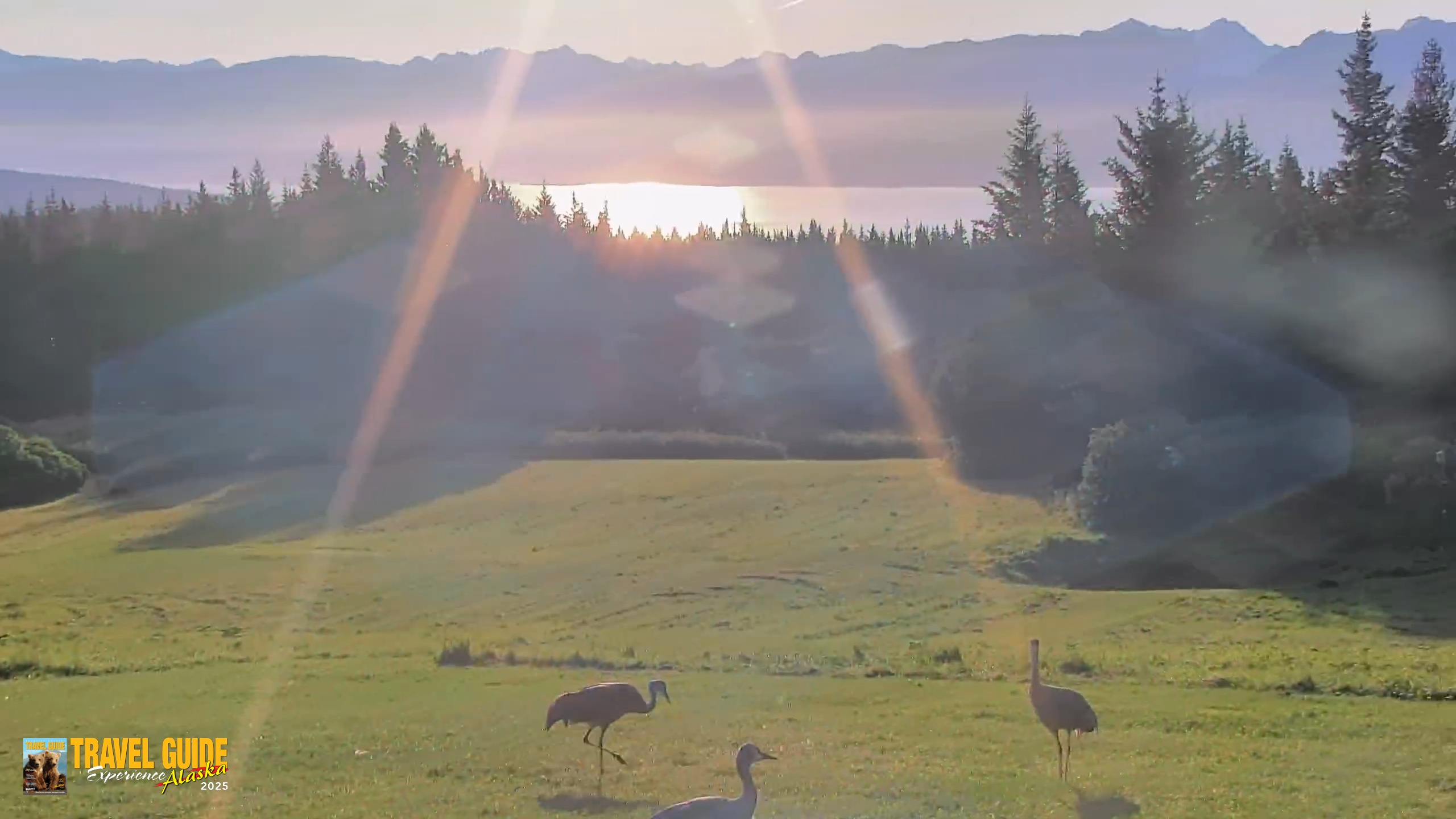 Snapshot of Inspiration Ridge - Homer Alaska Live Webcam taken Aug 27, 2026, 7:57am AKDT