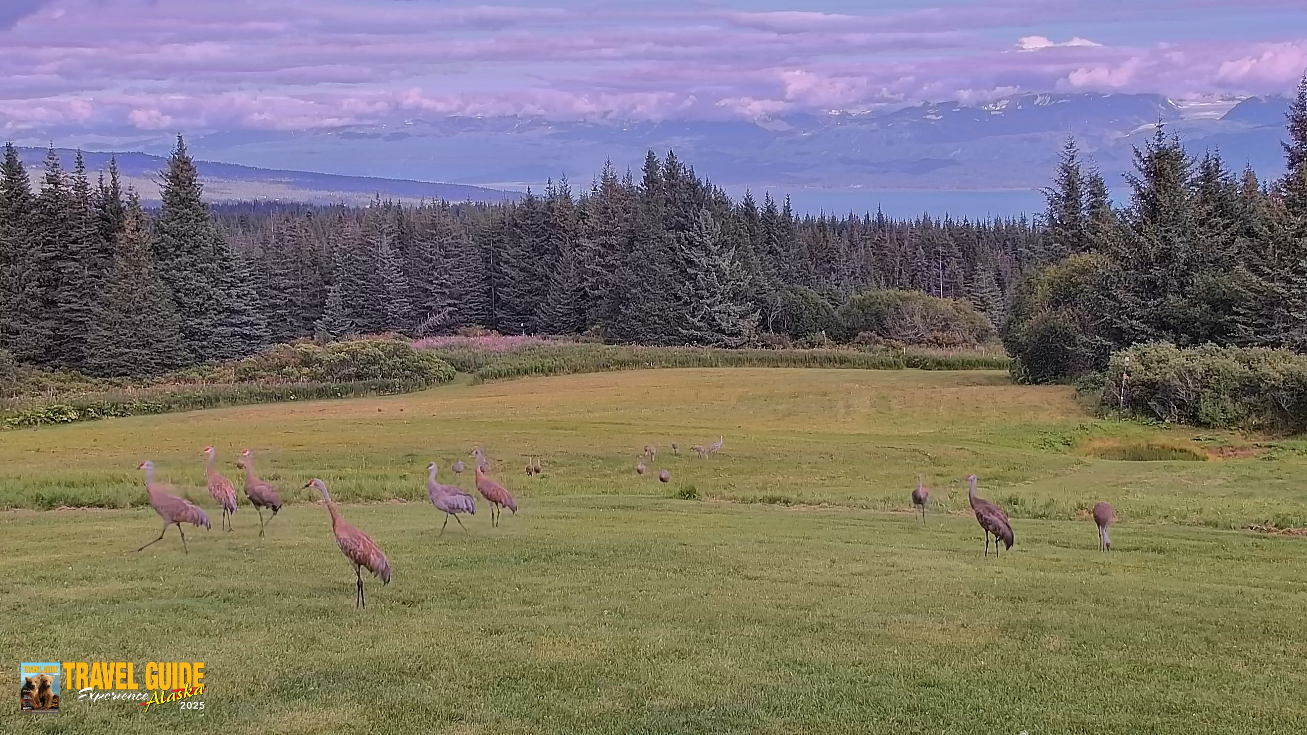 Snapshot of Inspiration Ridge - Homer Alaska Live Webcam taken Aug 23, 2026, 10:39pm AKDT