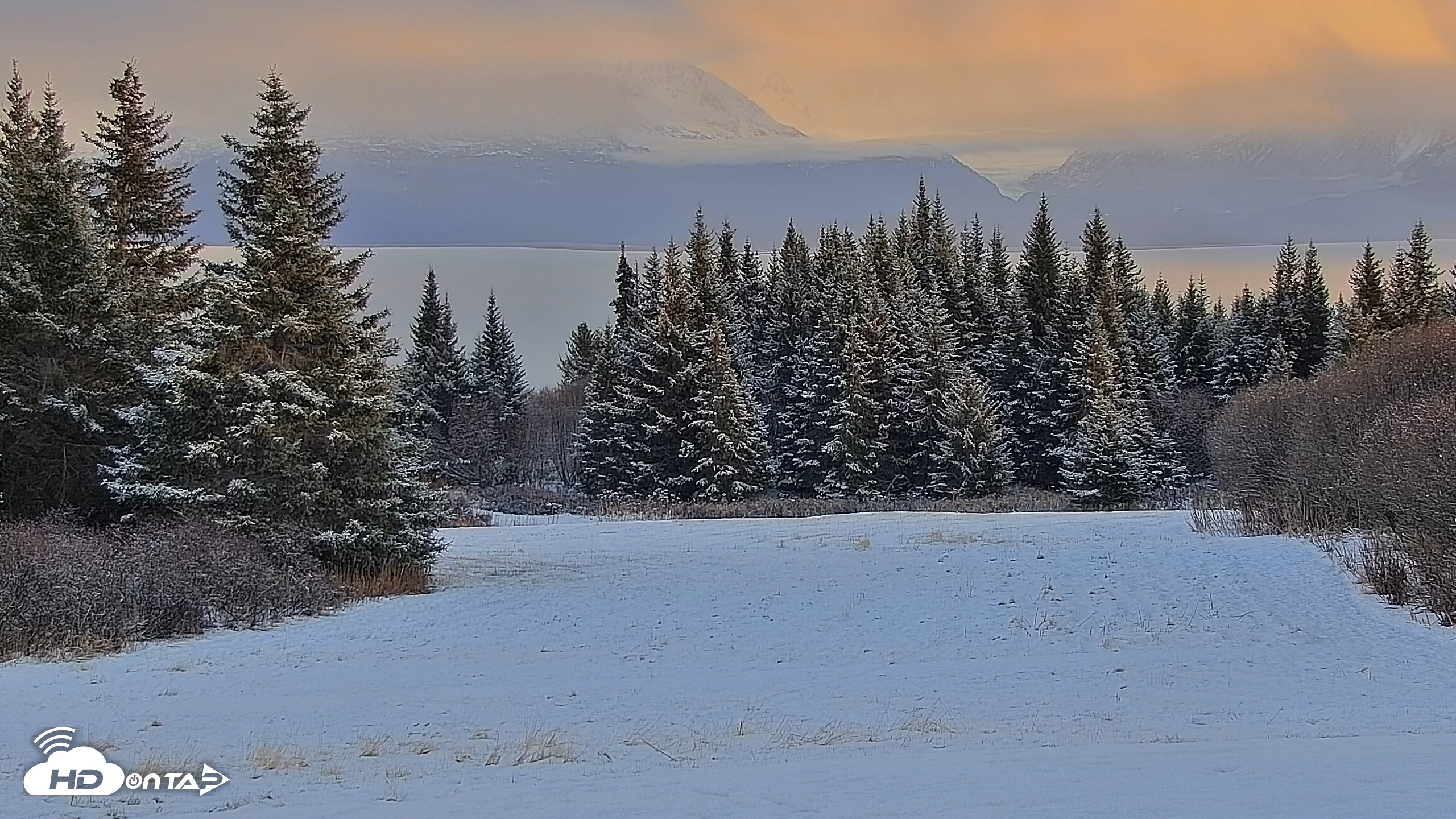 Snapshot of Inspiration Ridge - Homer Alaska Live Webcam taken Nov 17, 2025, 3:38pm AKST