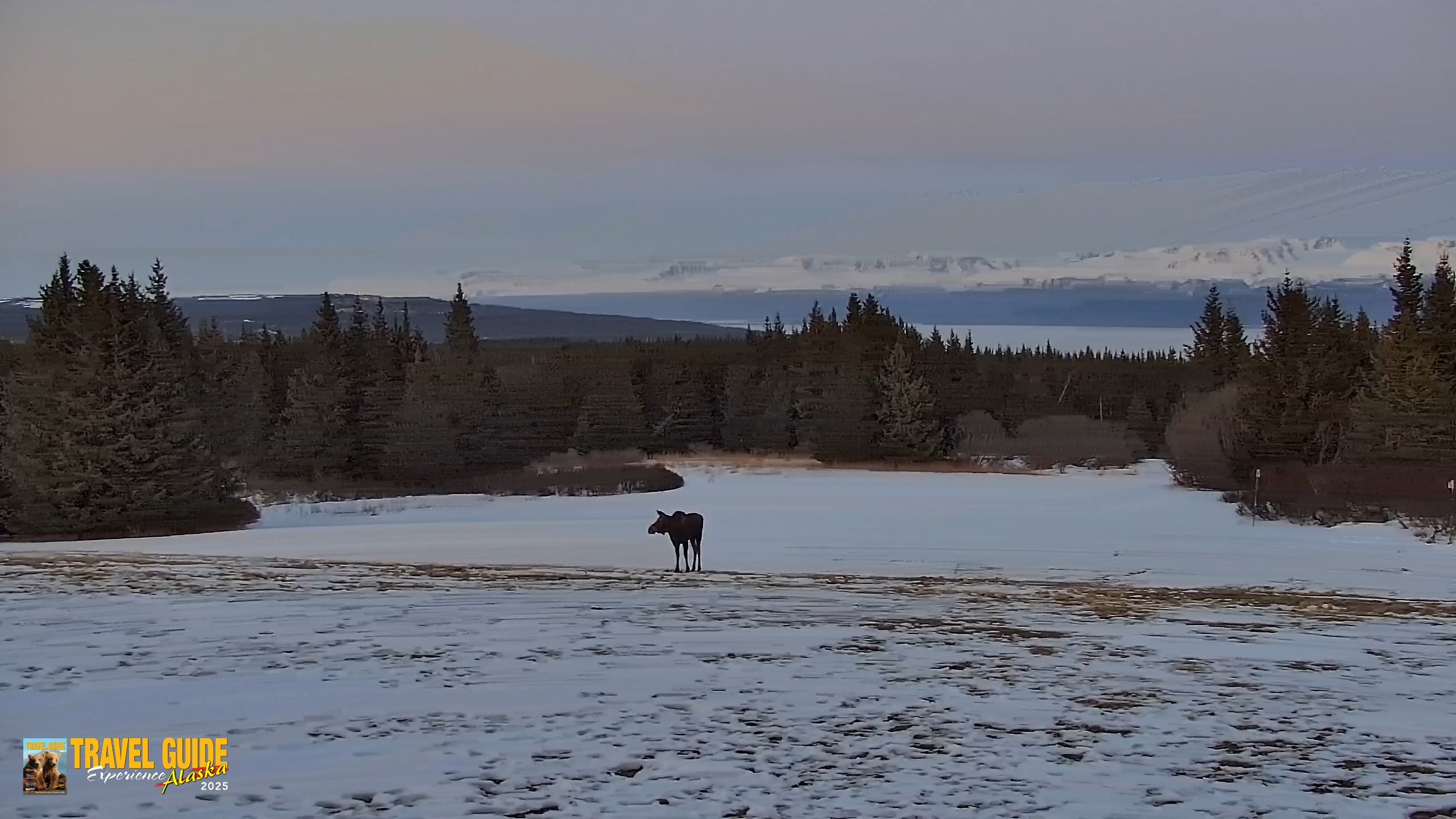 Snapshot of Inspiration Ridge - Homer Alaska Live Webcam taken Apr 1, 2026, 10:05pm AKDT