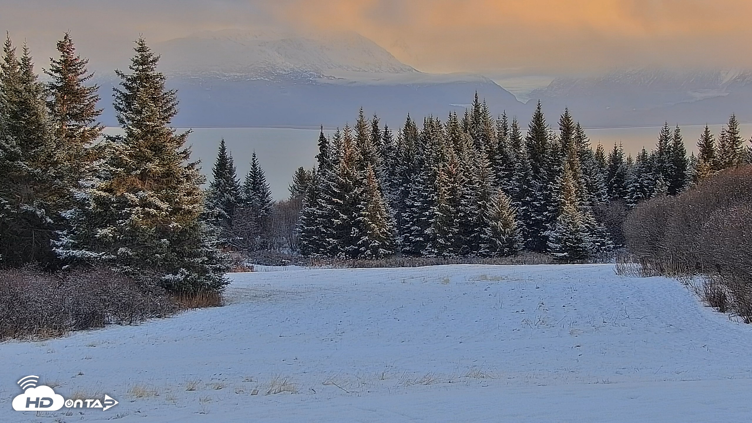 Snapshot of Inspiration Ridge - Homer Alaska Live Webcam taken Nov 17, 2025, 3:36pm AKST