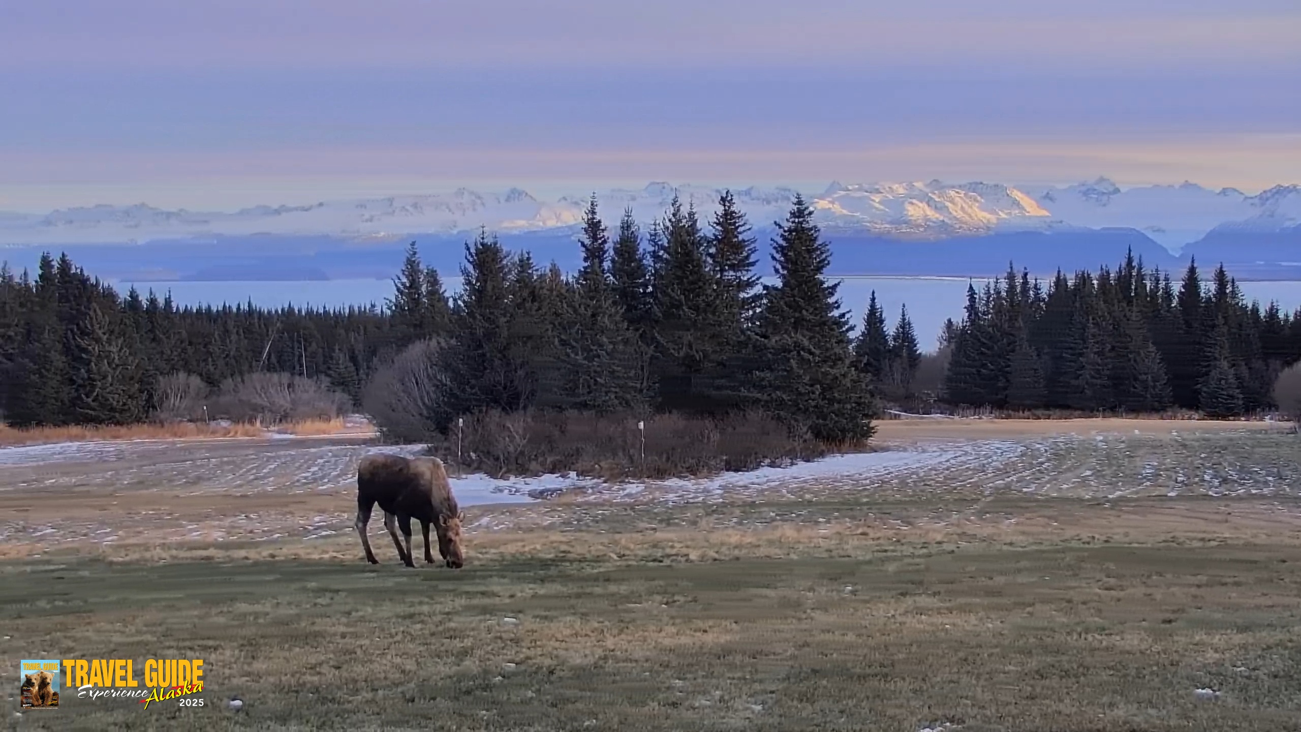 Snapshot of Inspiration Ridge - Homer Alaska Live Webcam taken Dec 22, 2025, 2:05pm AKST