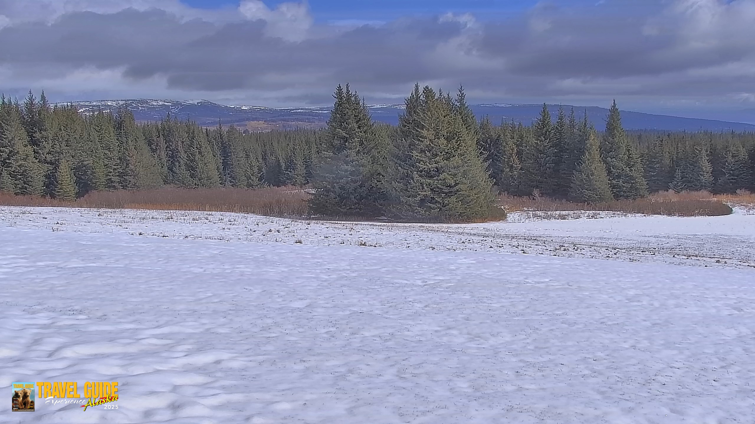 Snapshot of Inspiration Ridge - Homer Alaska Live Webcam taken Apr 18, 2026, 12:19pm AKDT