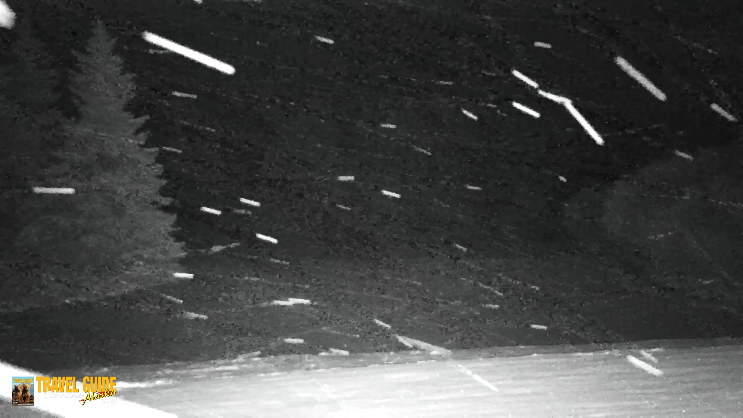 Snapshot of Inspiration Ridge - Homer Alaska Live Webcam taken Jan 11, 2026, 9:11pm AKST