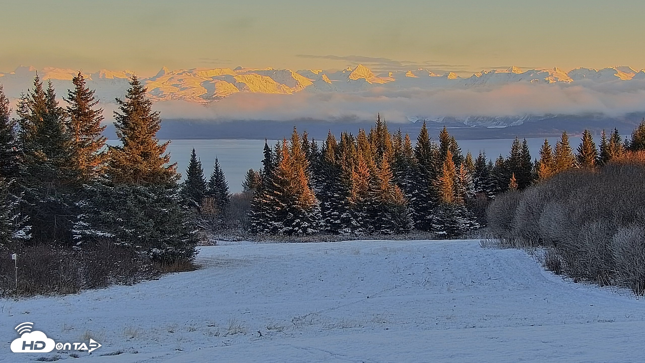 Snapshot of Inspiration Ridge - Homer Alaska Live Webcam taken Nov 8, 2025, 4:43pm AKST