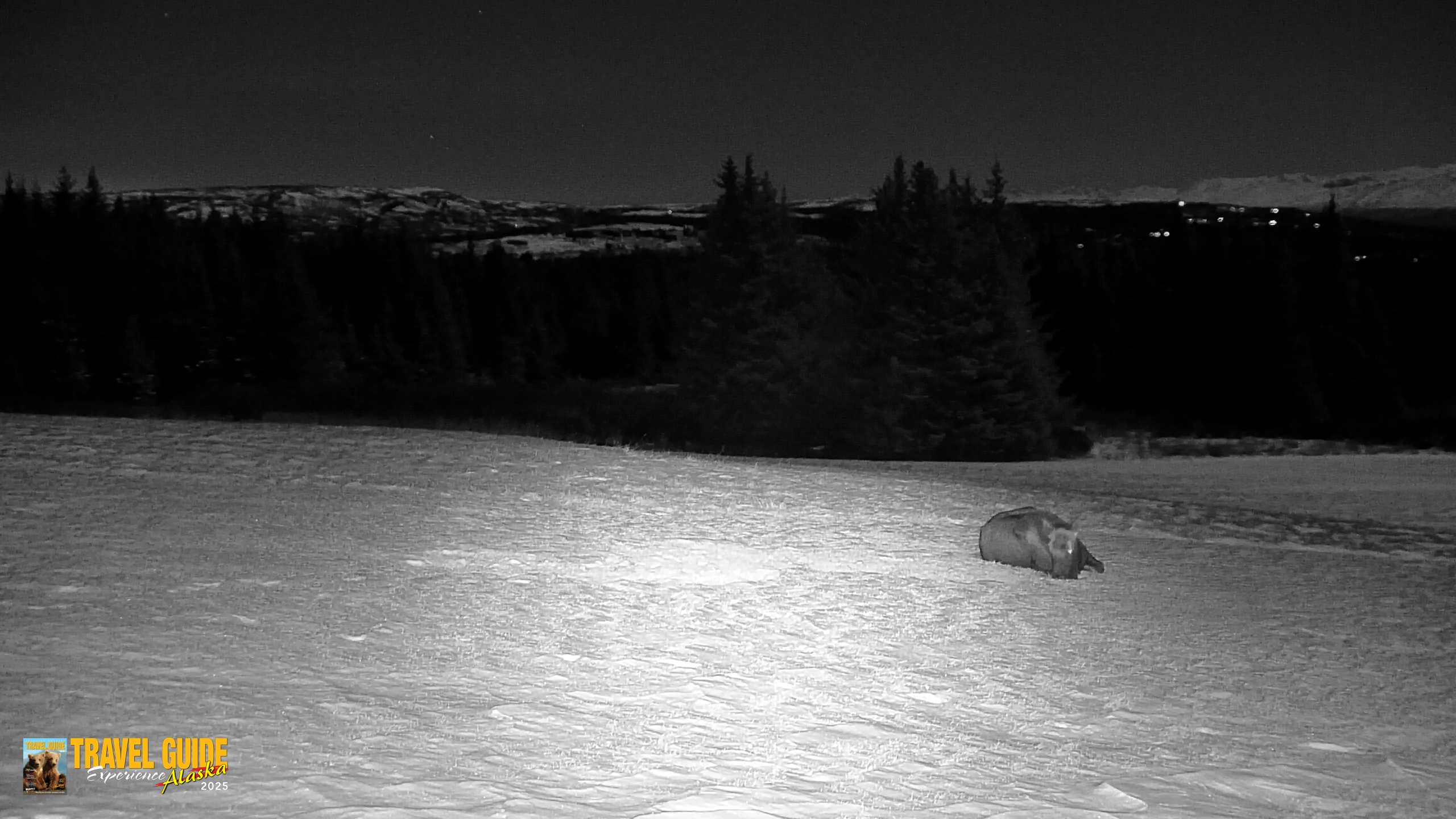 Snapshot of Inspiration Ridge - Homer Alaska Live Webcam taken Jan 2, 2026, 11:38pm AKST