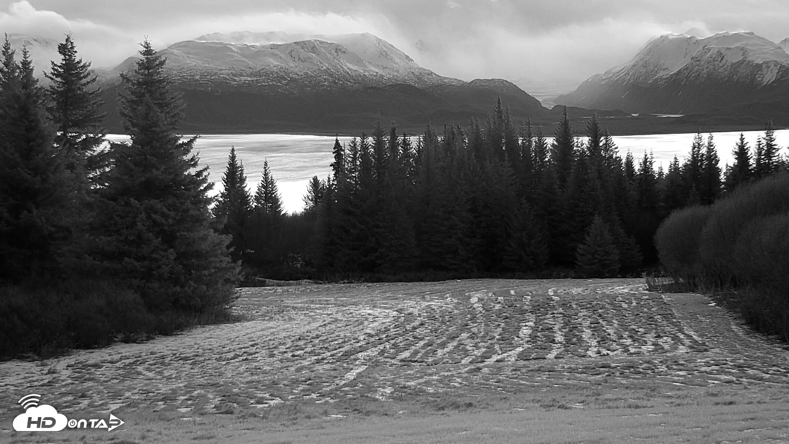 Snapshot of Inspiration Ridge - Homer Alaska Live Webcam taken Dec 2, 2025, 8:48am AKST
