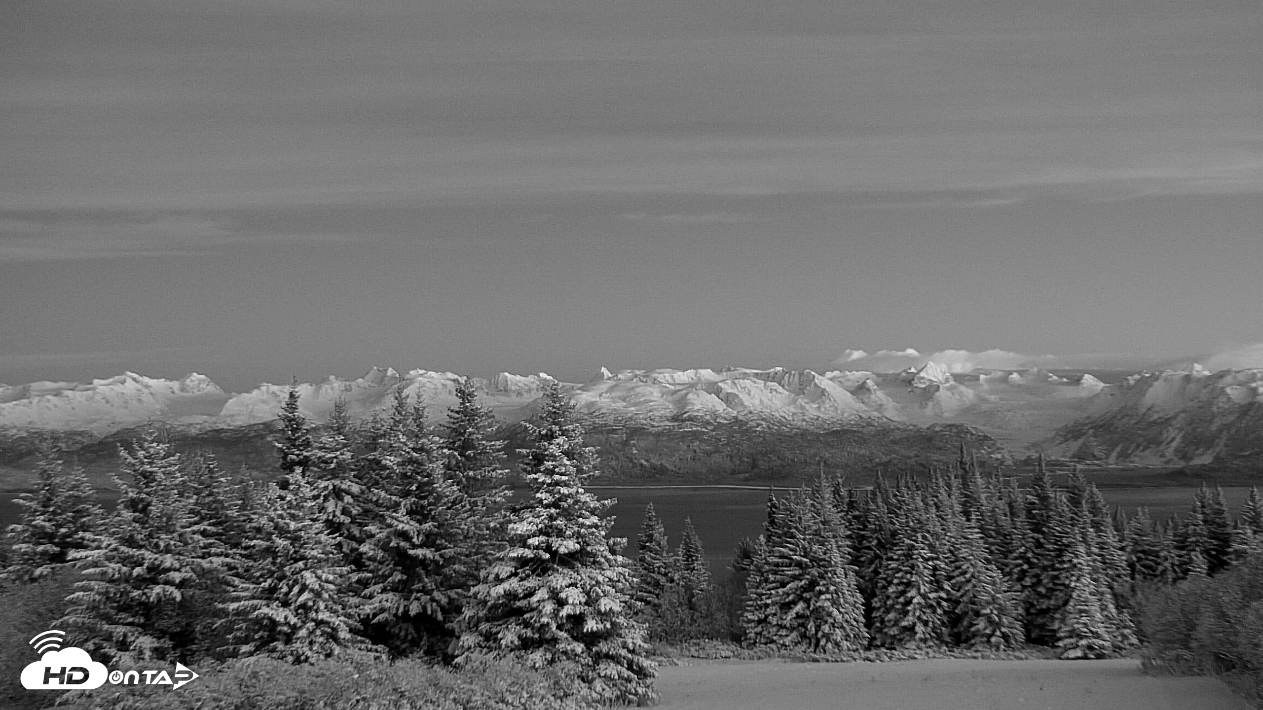 Snapshot of Inspiration Ridge - Homer Alaska Live Webcam taken Nov 22, 2025, 6:14pm AKST