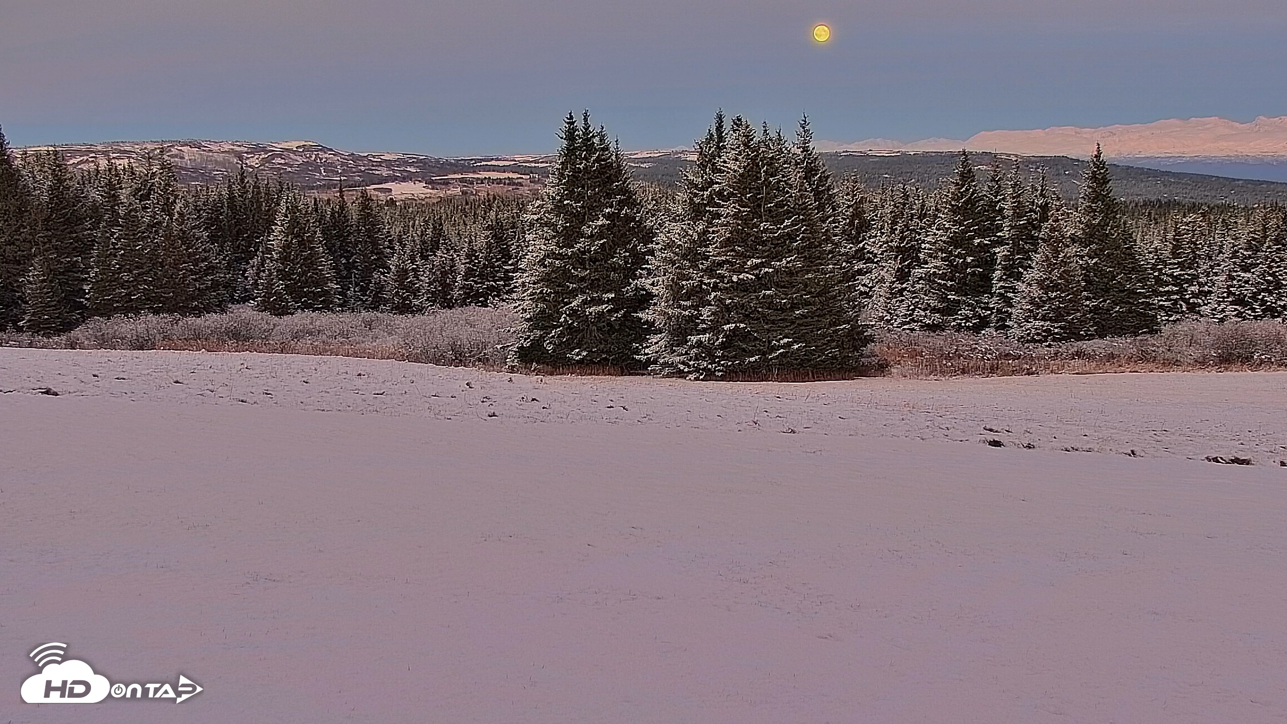 Snapshot of Inspiration Ridge - Homer Alaska Live Webcam taken Nov 5, 2025, 7:05pm AKST