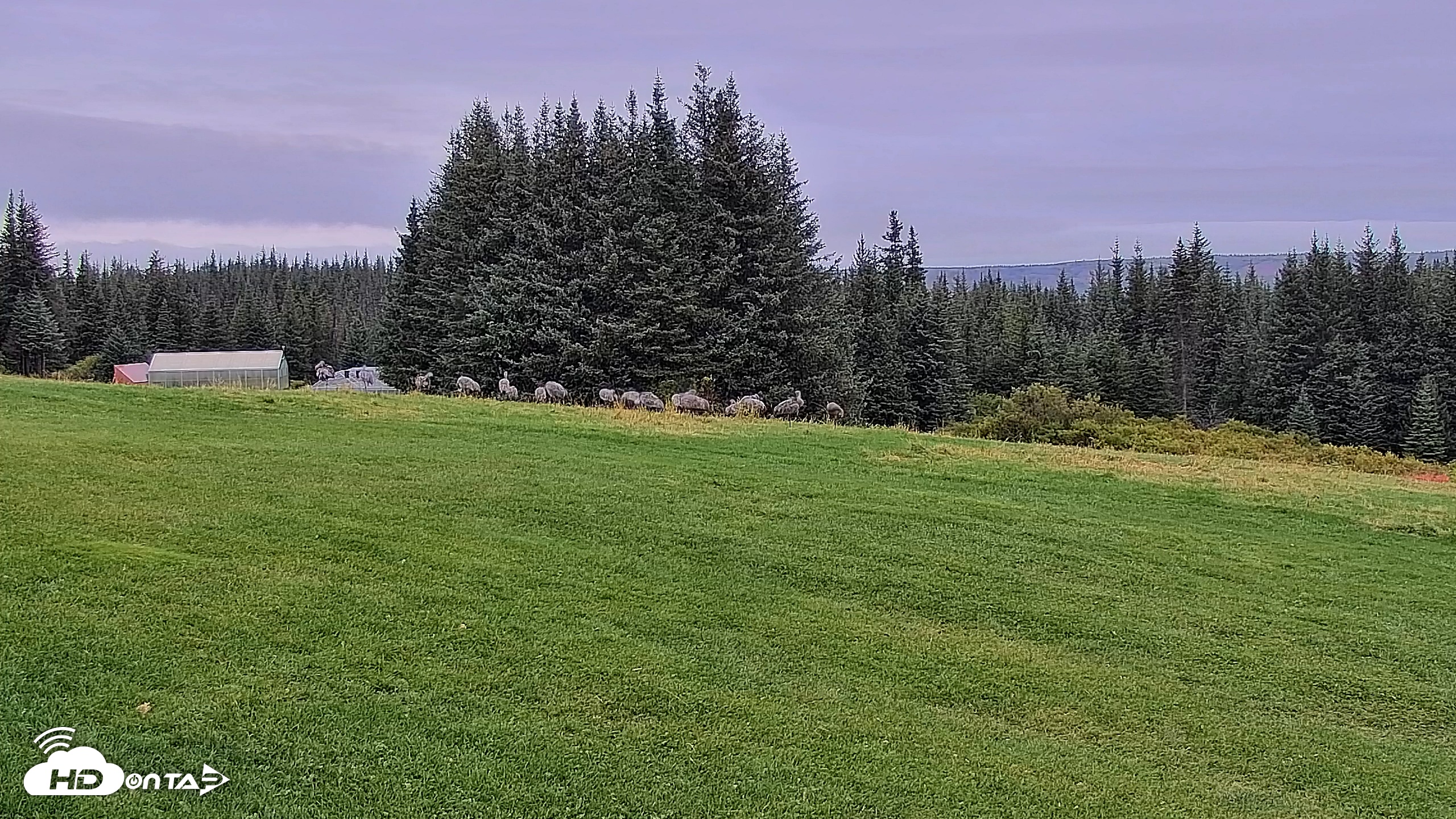 Snapshot of Inspiration Ridge - Homer Alaska Live Webcam taken Sep 11, 2025, 8:54am AKDT