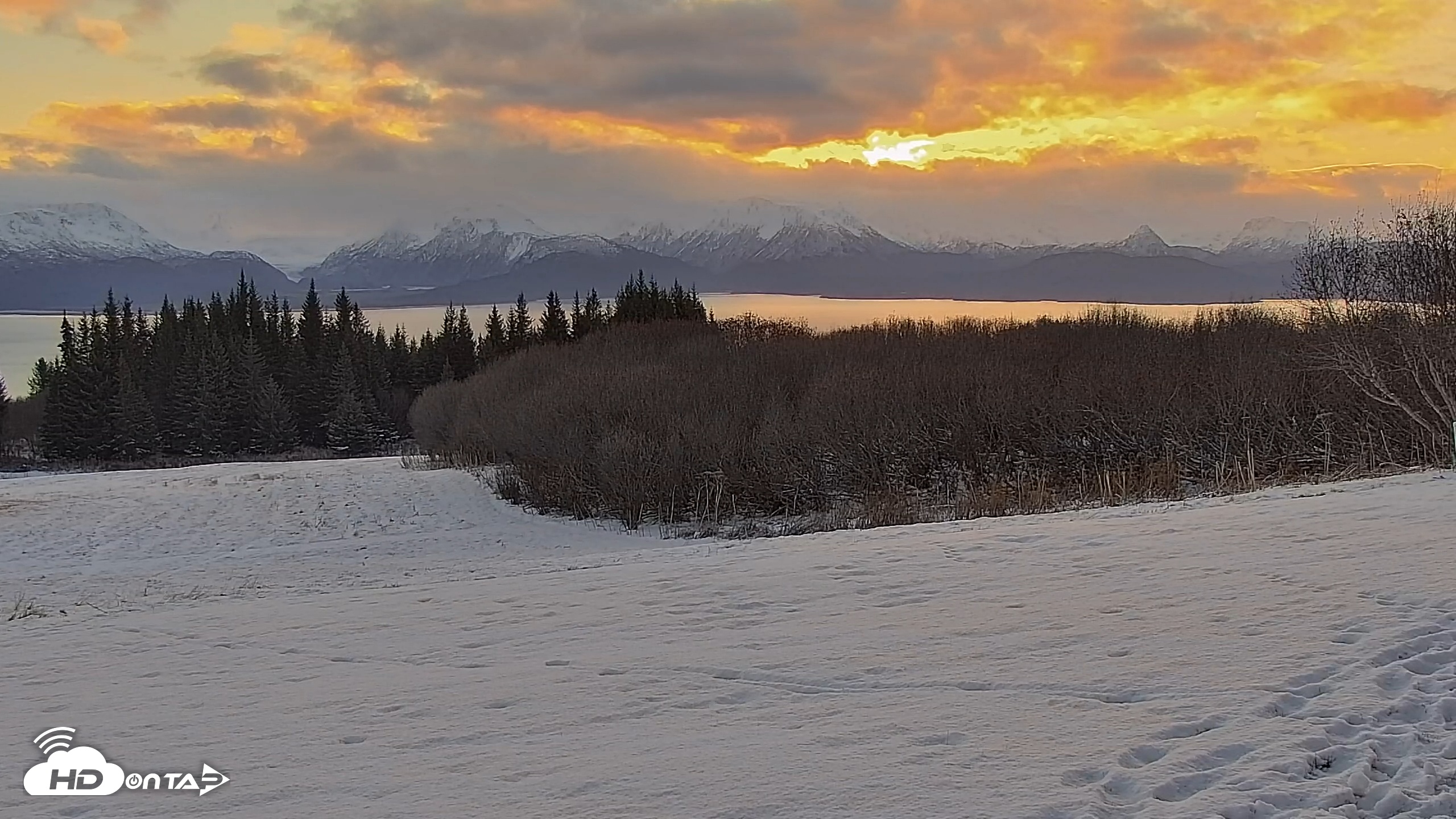 Snapshot of Inspiration Ridge - Homer Alaska Live Webcam taken Nov 19, 2025, 9:45am AKST