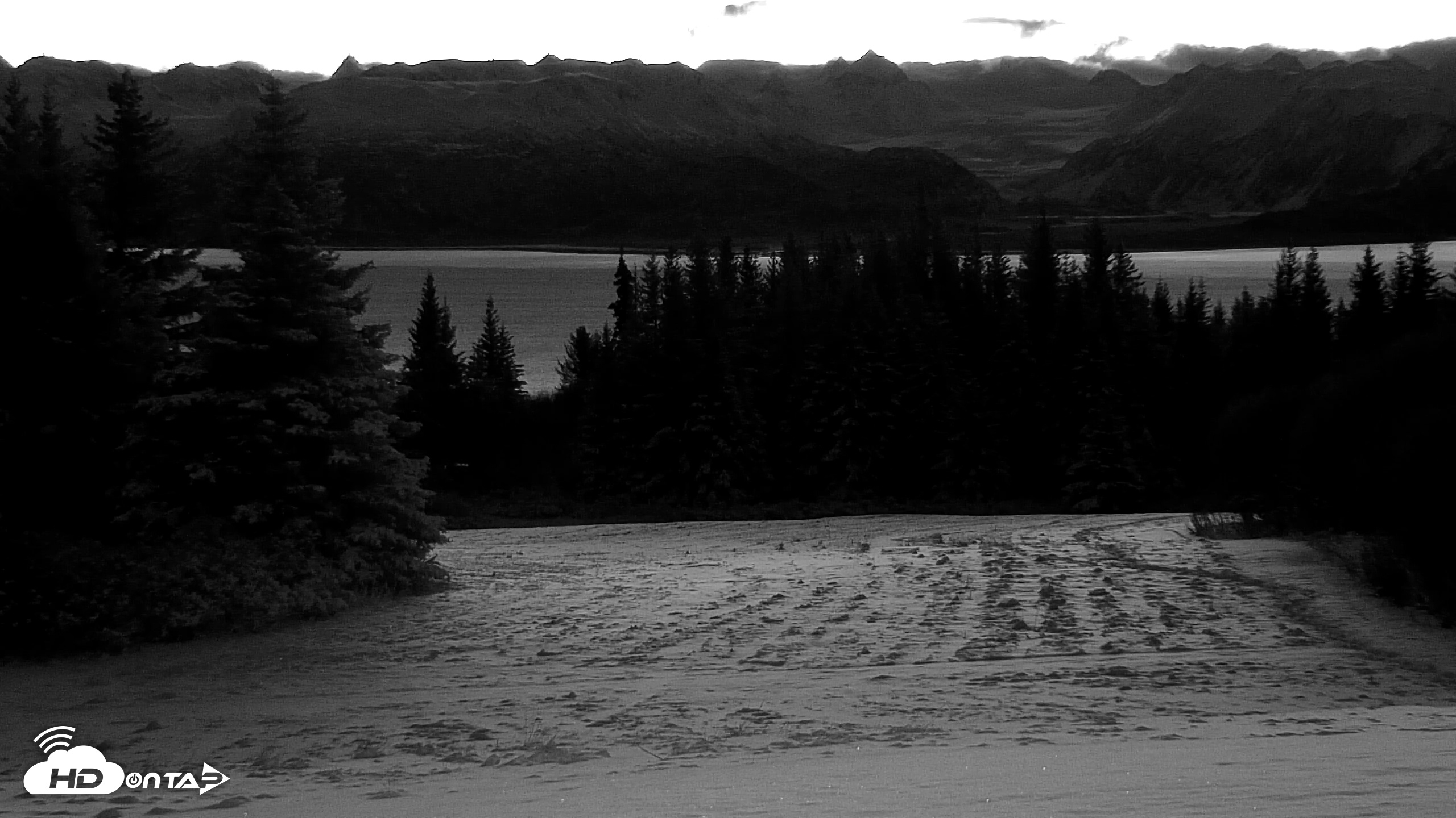 Snapshot of Inspiration Ridge - Homer Alaska Live Webcam taken Nov 24, 2025, 8:08am AKST