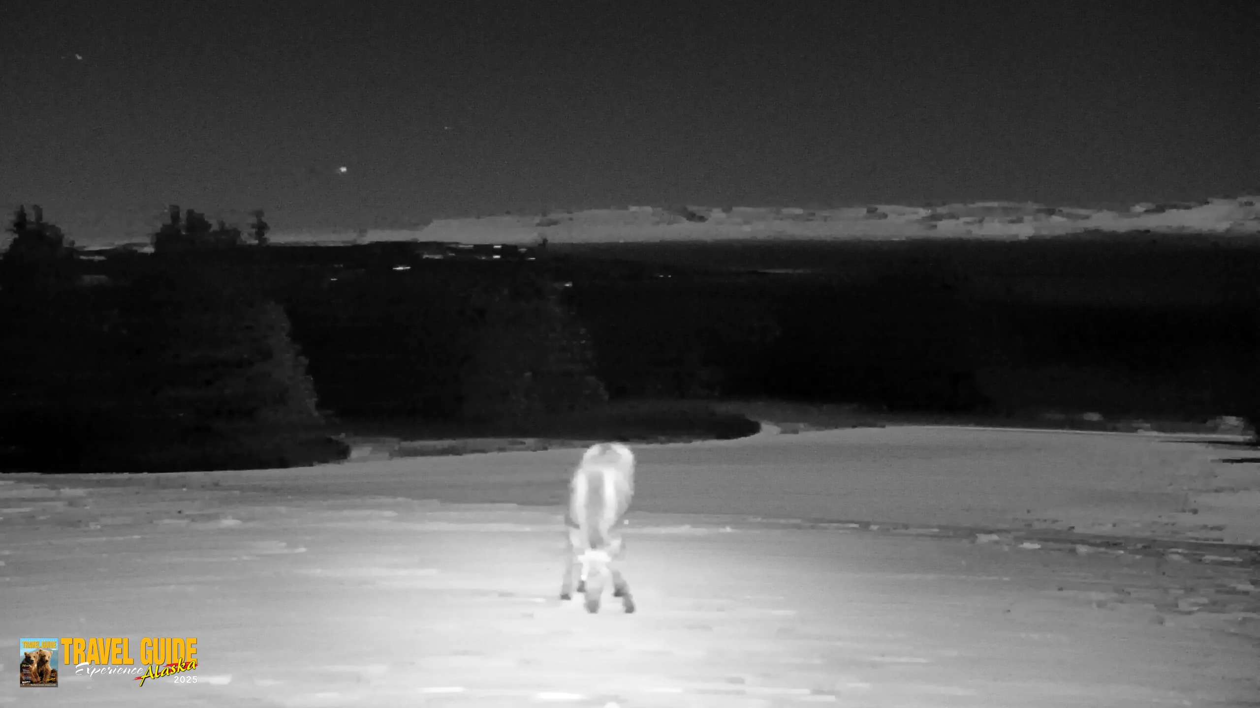 Snapshot of Inspiration Ridge - Homer Alaska Live Webcam taken Jan 3, 2026, 12:44am AKST