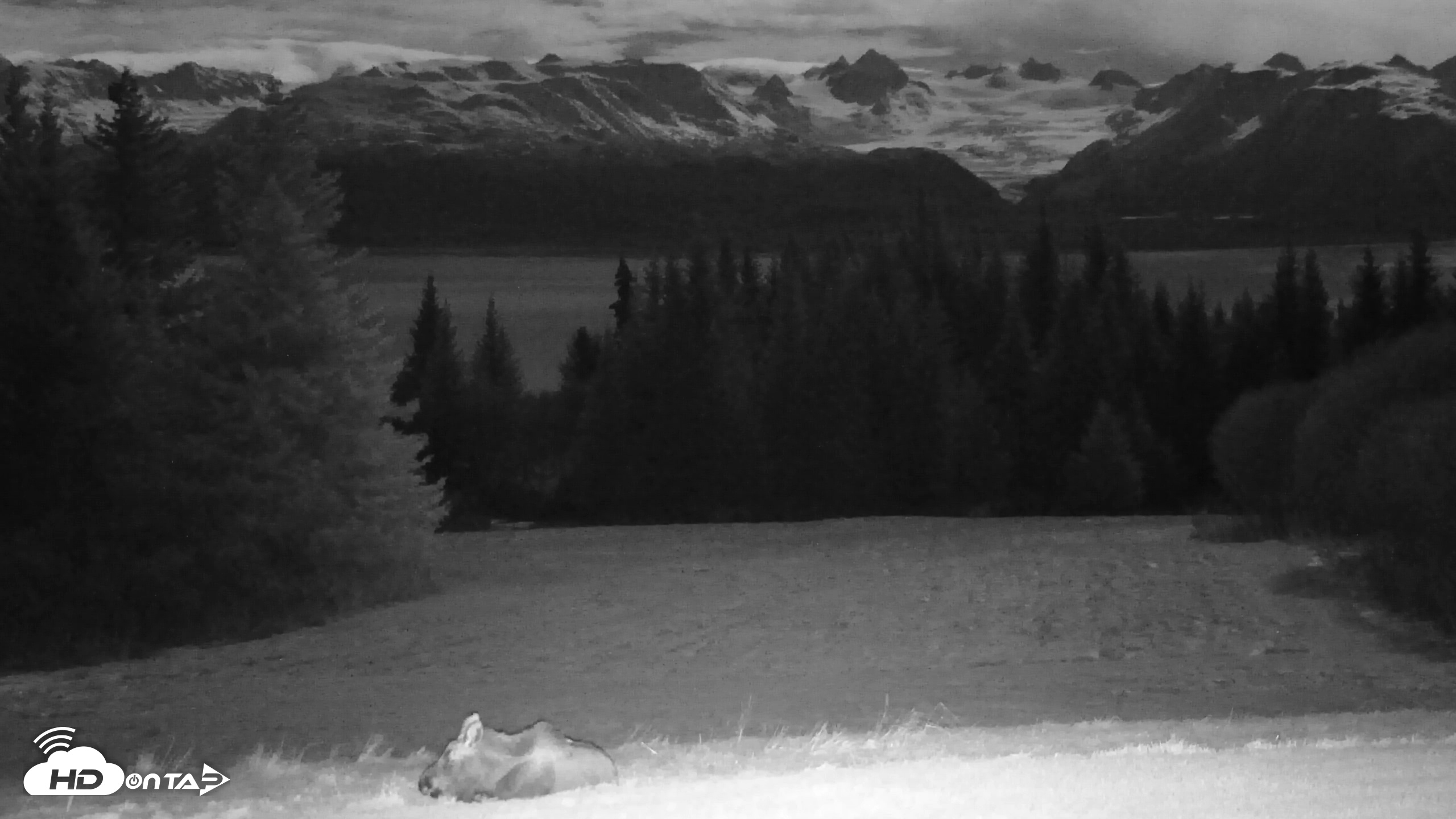 Snapshot of Inspiration Ridge - Homer Alaska Live Webcam taken Nov 3, 2025, 9:27pm AKST