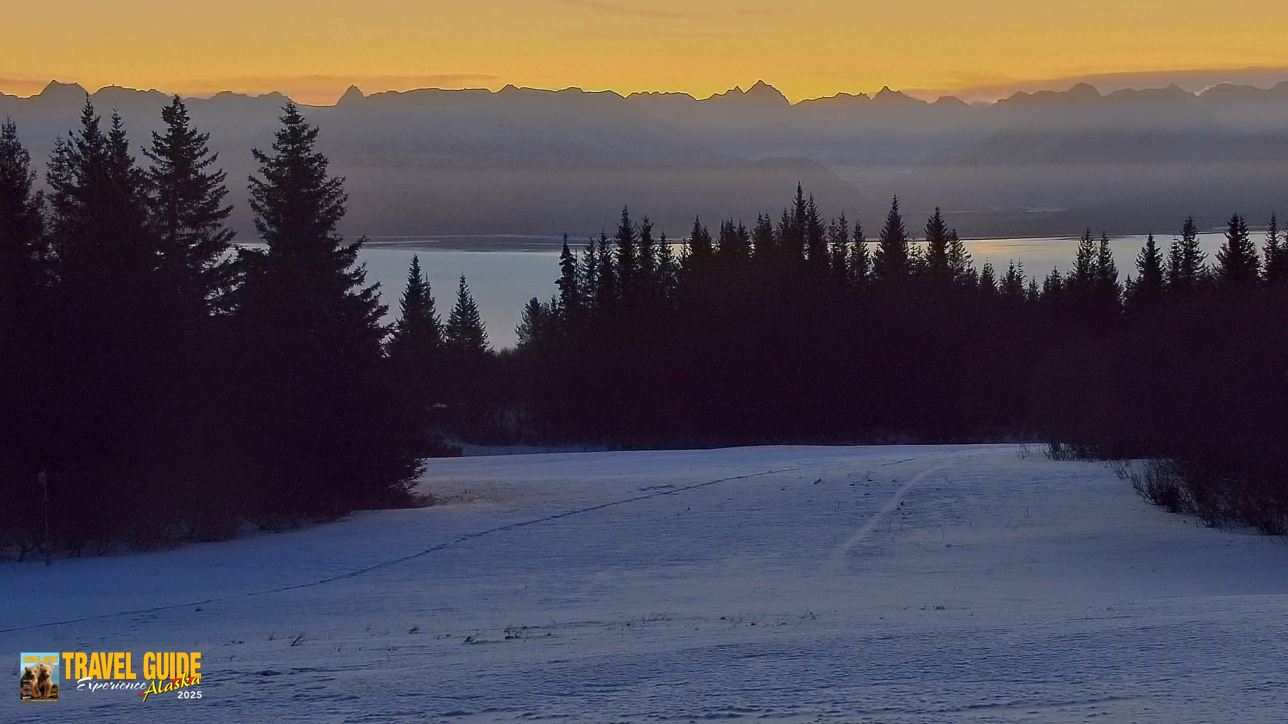 Snapshot of Inspiration Ridge - Homer Alaska Live Webcam taken Jan 19, 2026, 8:55am AKST