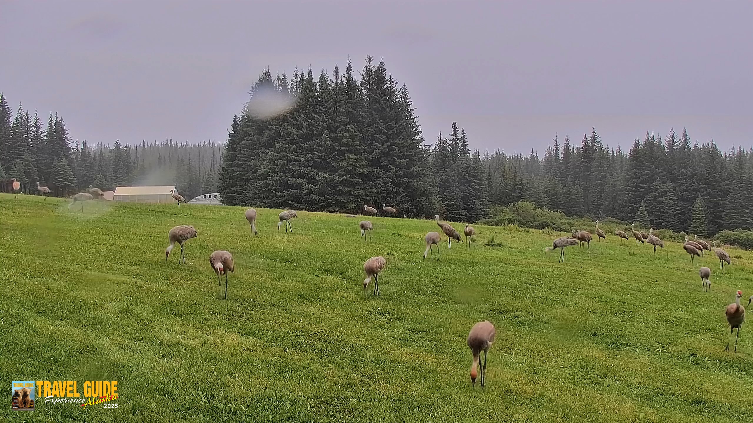 Snapshot of Inspiration Ridge - Homer Alaska Live Webcam taken Aug 25, 2026, 2:45pm AKDT