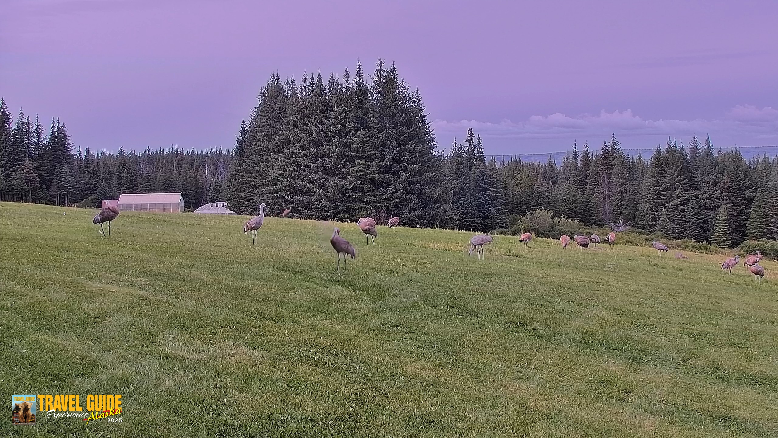 Snapshot of Inspiration Ridge - Homer Alaska Live Webcam taken Aug 27, 2026, 6:03pm AKDT