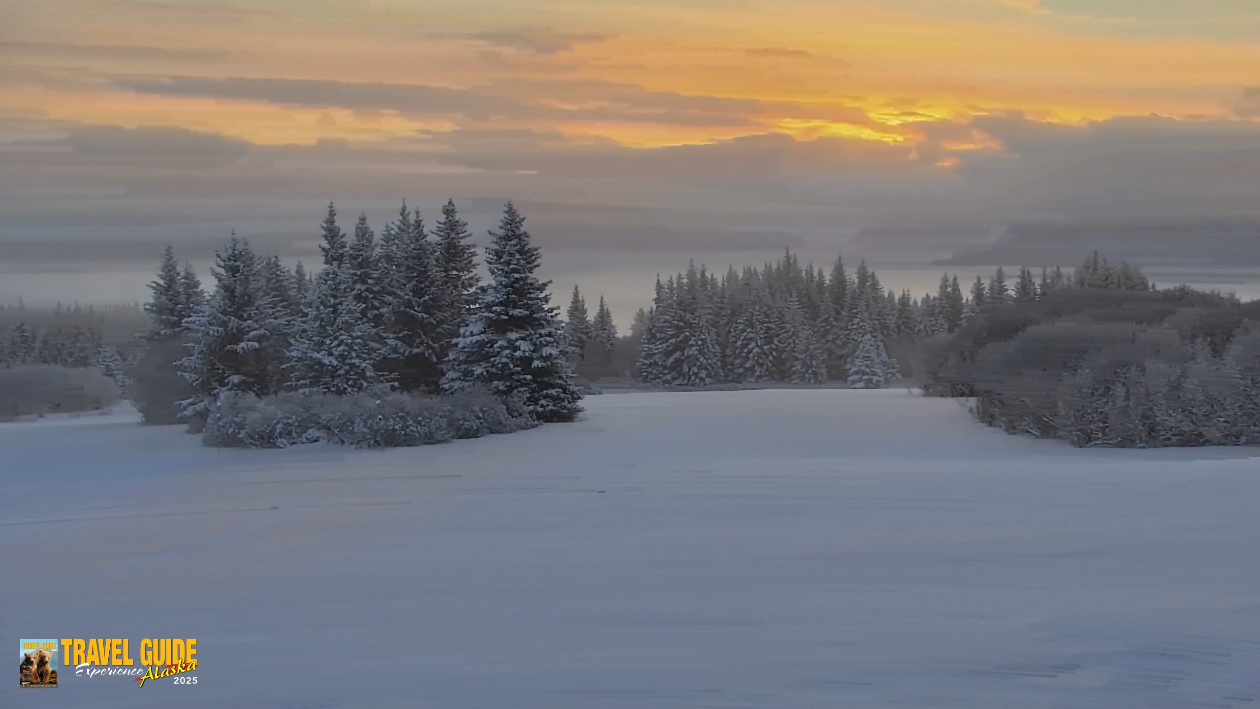 Snapshot of Inspiration Ridge - Homer Alaska Live Webcam taken Feb 12, 2026, 9:13am AKST