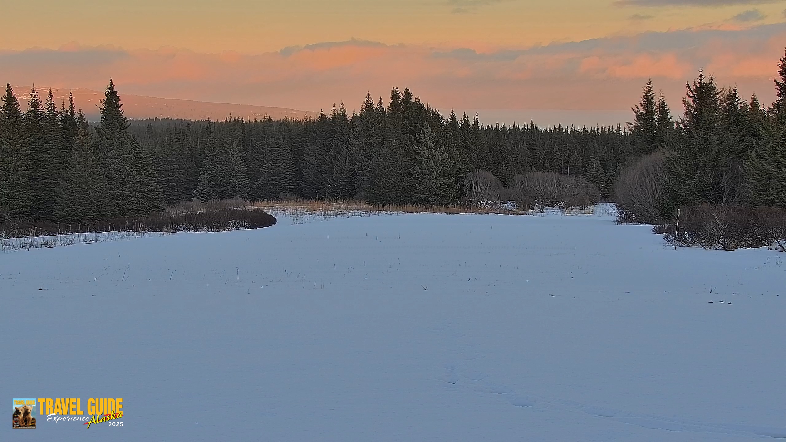 Snapshot of Inspiration Ridge - Homer Alaska Live Webcam taken Feb 14, 2026, 5:50pm AKST