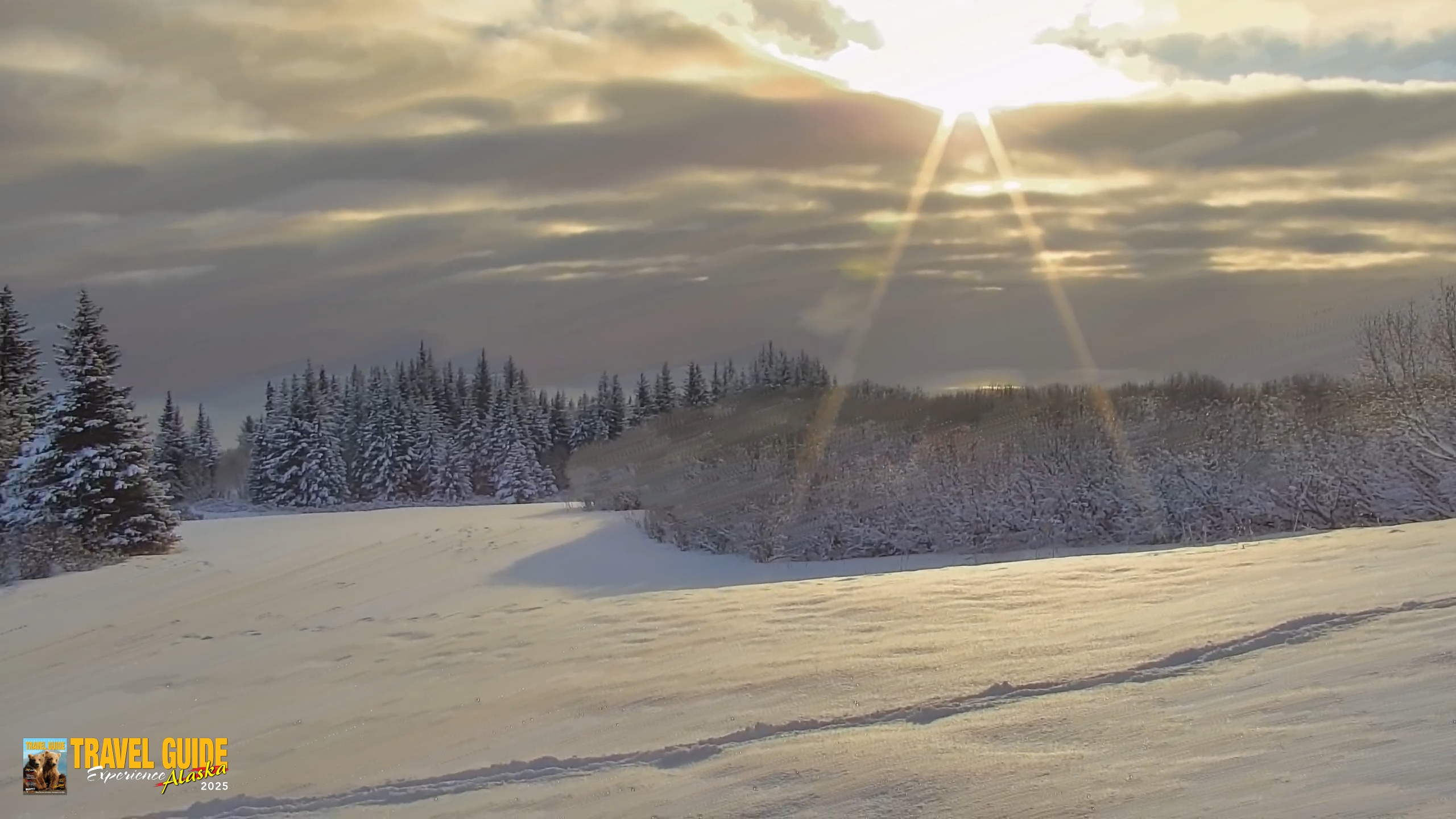 Snapshot of Inspiration Ridge - Homer Alaska Live Webcam taken Feb 13, 2026, 10:24am AKST