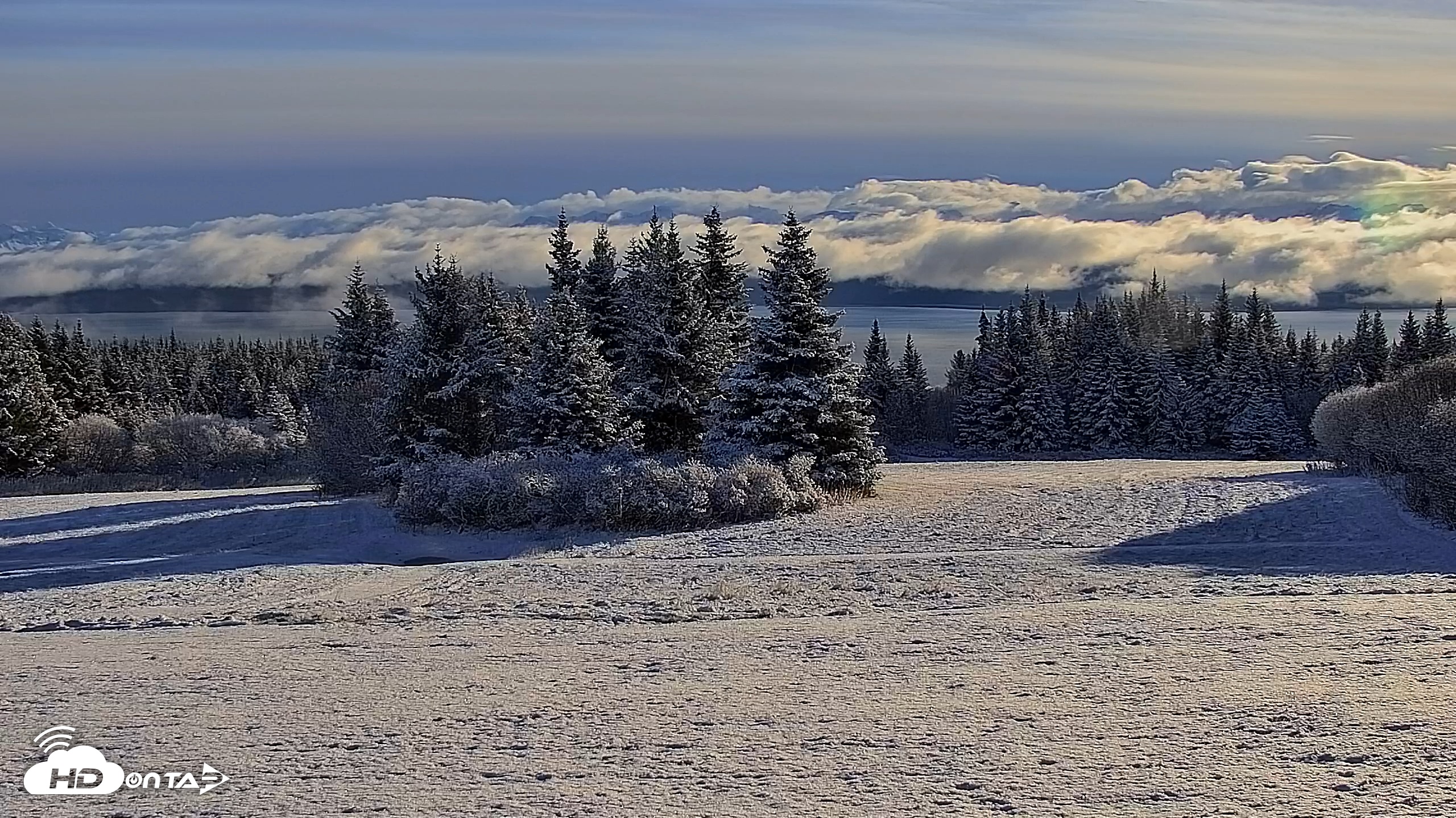 Snapshot of Inspiration Ridge - Homer Alaska Live Webcam taken Nov 5, 2025, 10:22am AKST